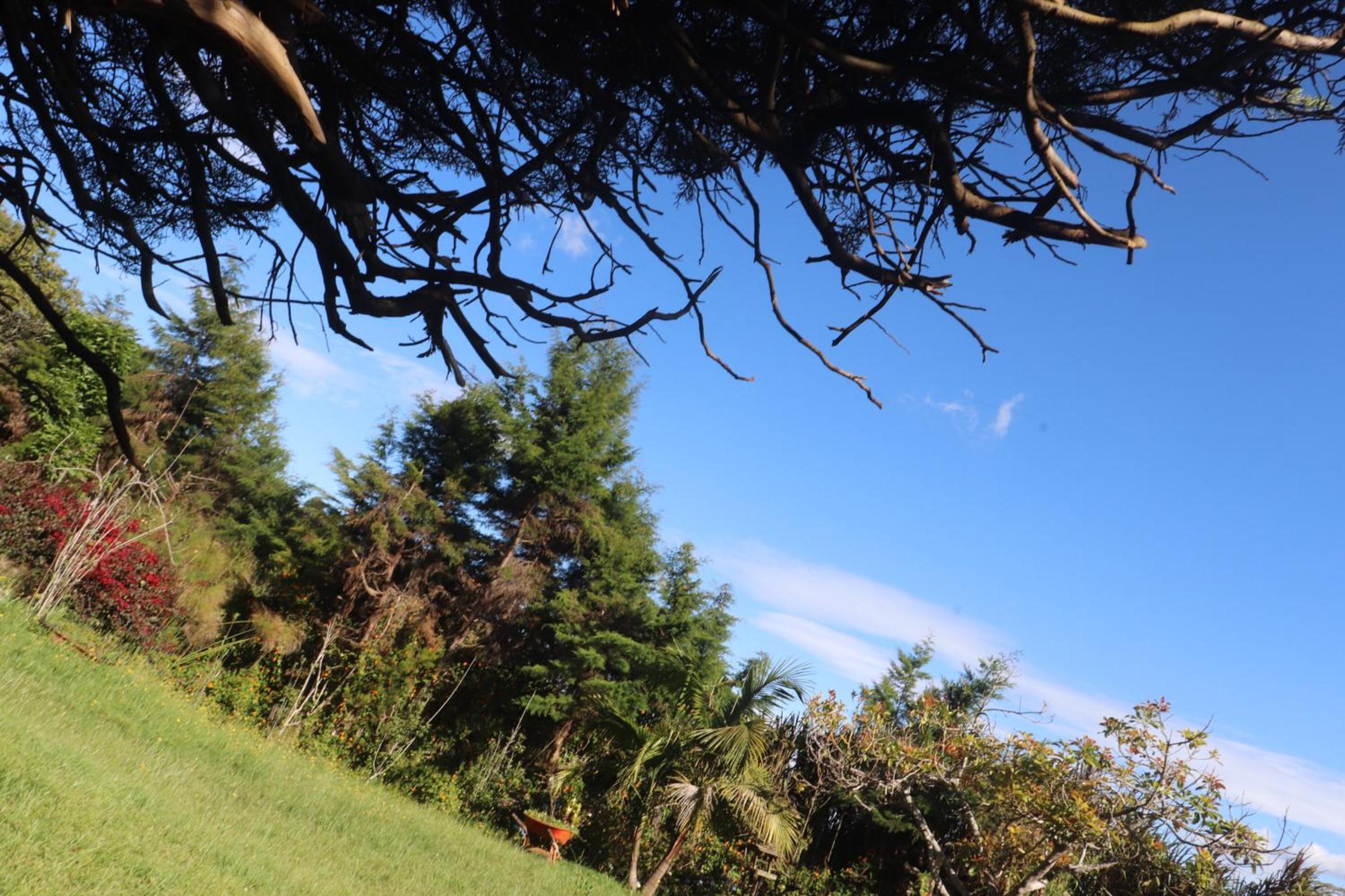 Finca la Mariposa, Santa Elena