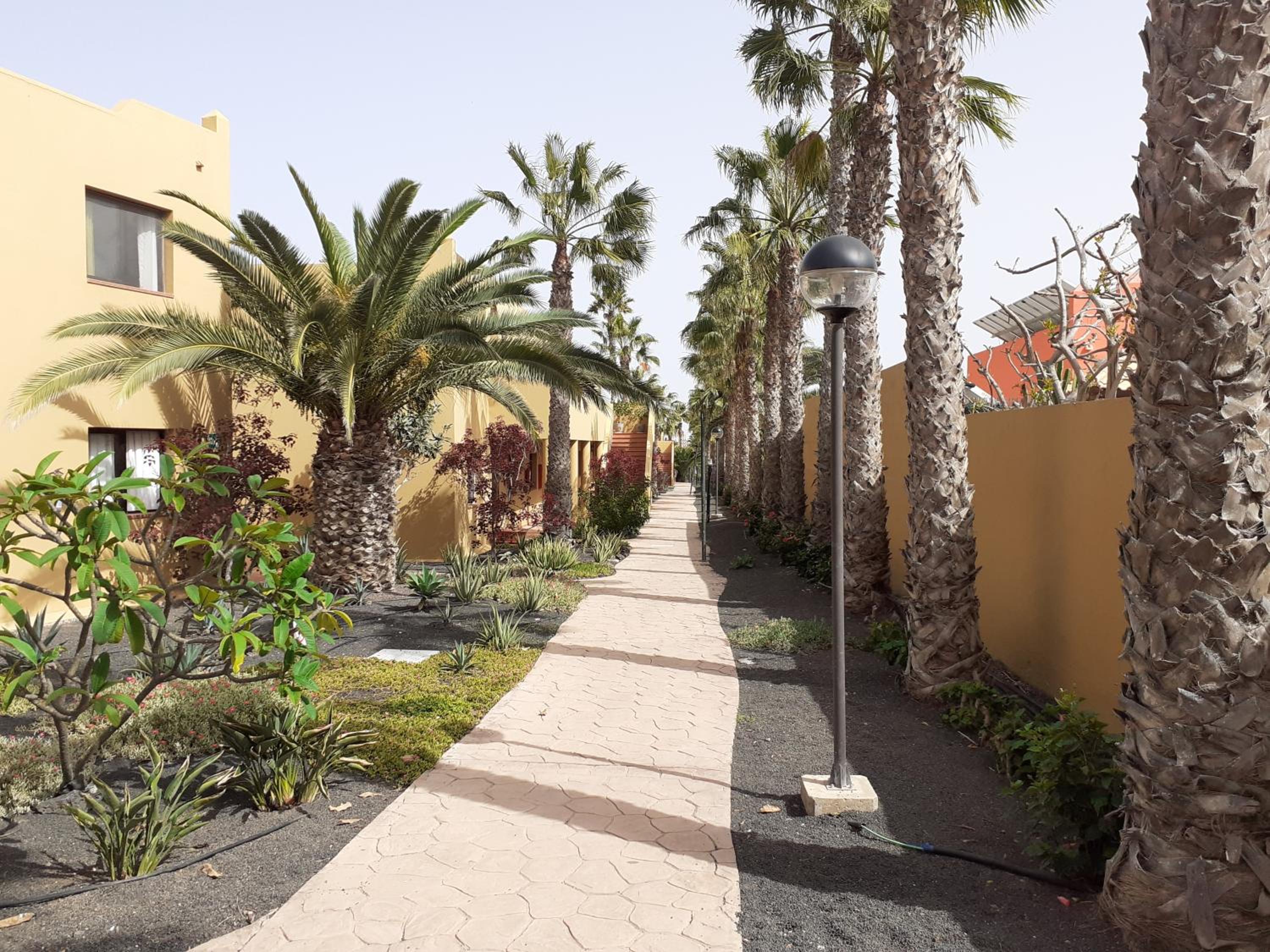 Oasis Waves House Papagayo