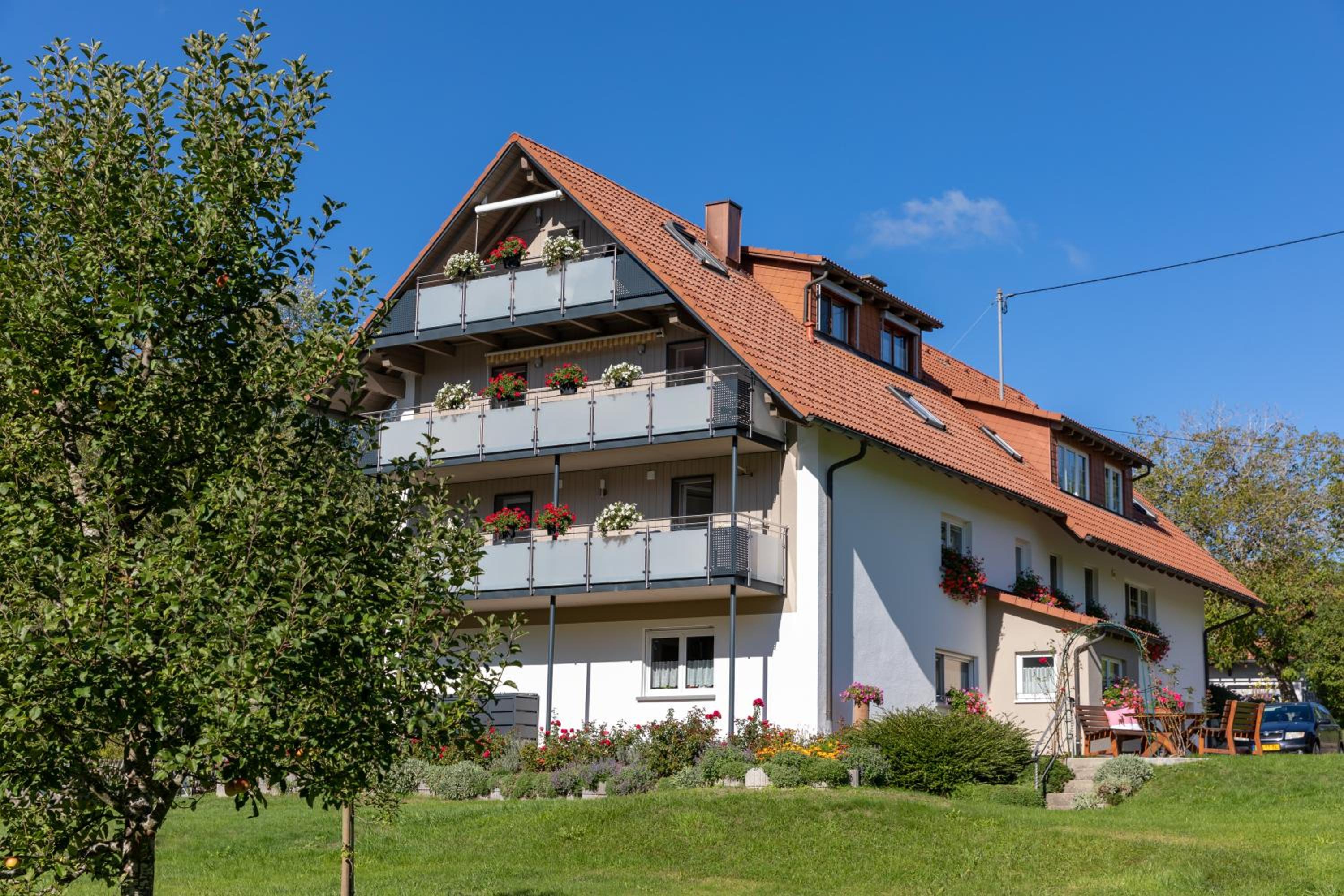 Photo 42