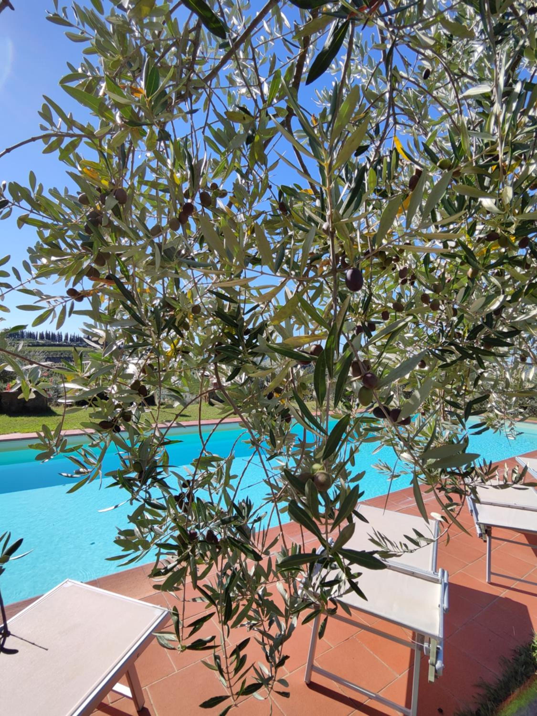 Agriturismo Sommassa