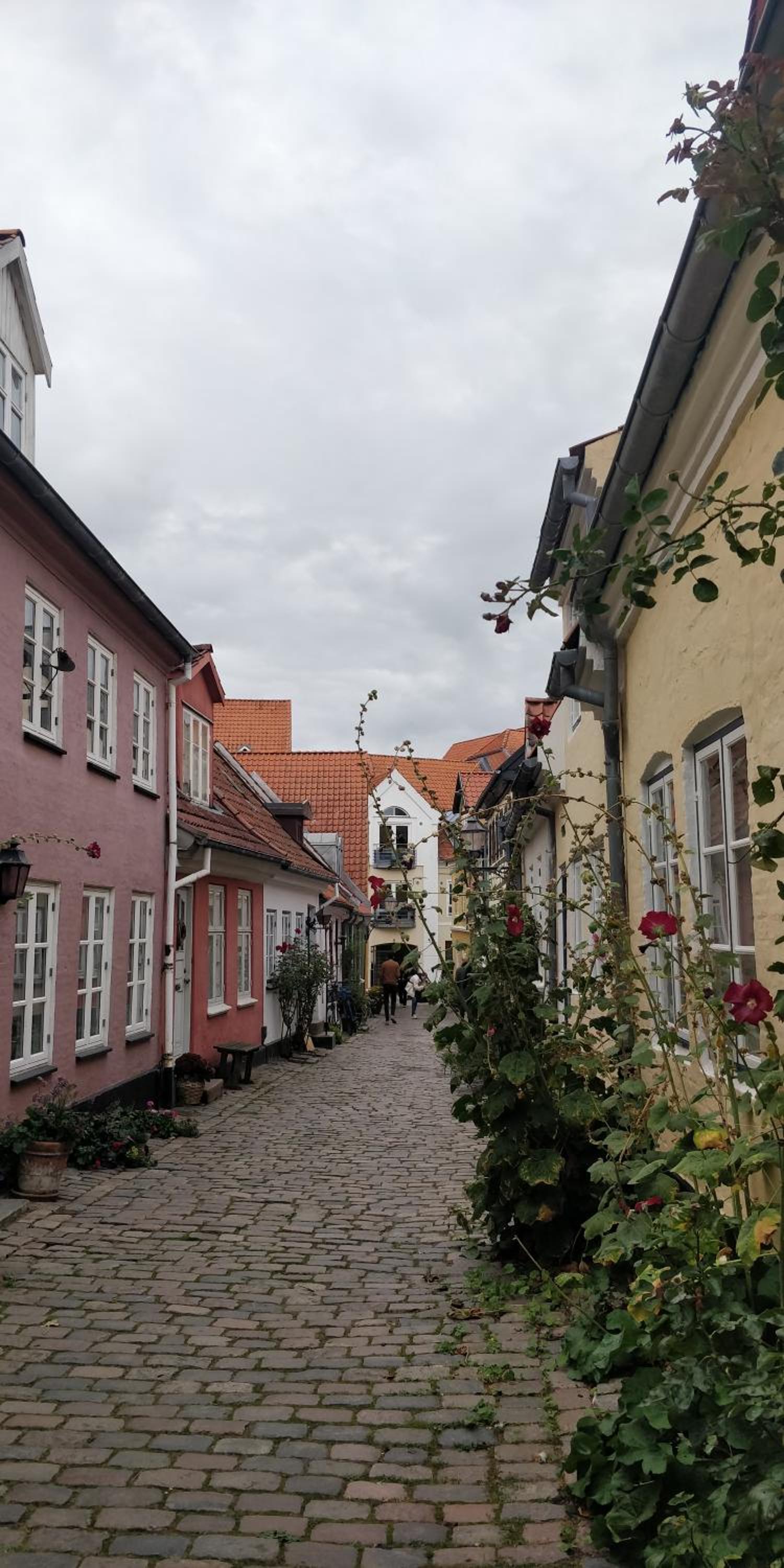 Apartment in the heart of Aalborg