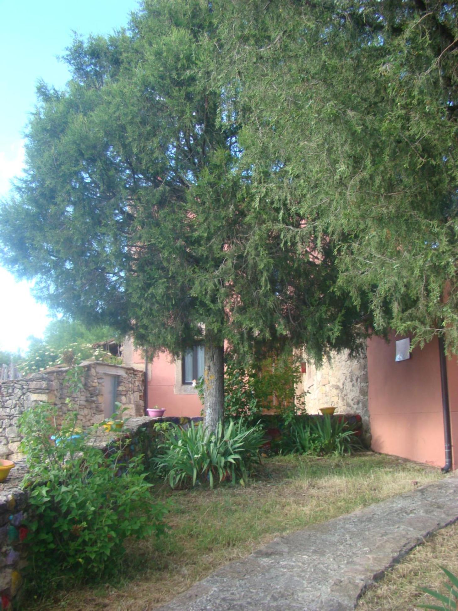 Photo 42