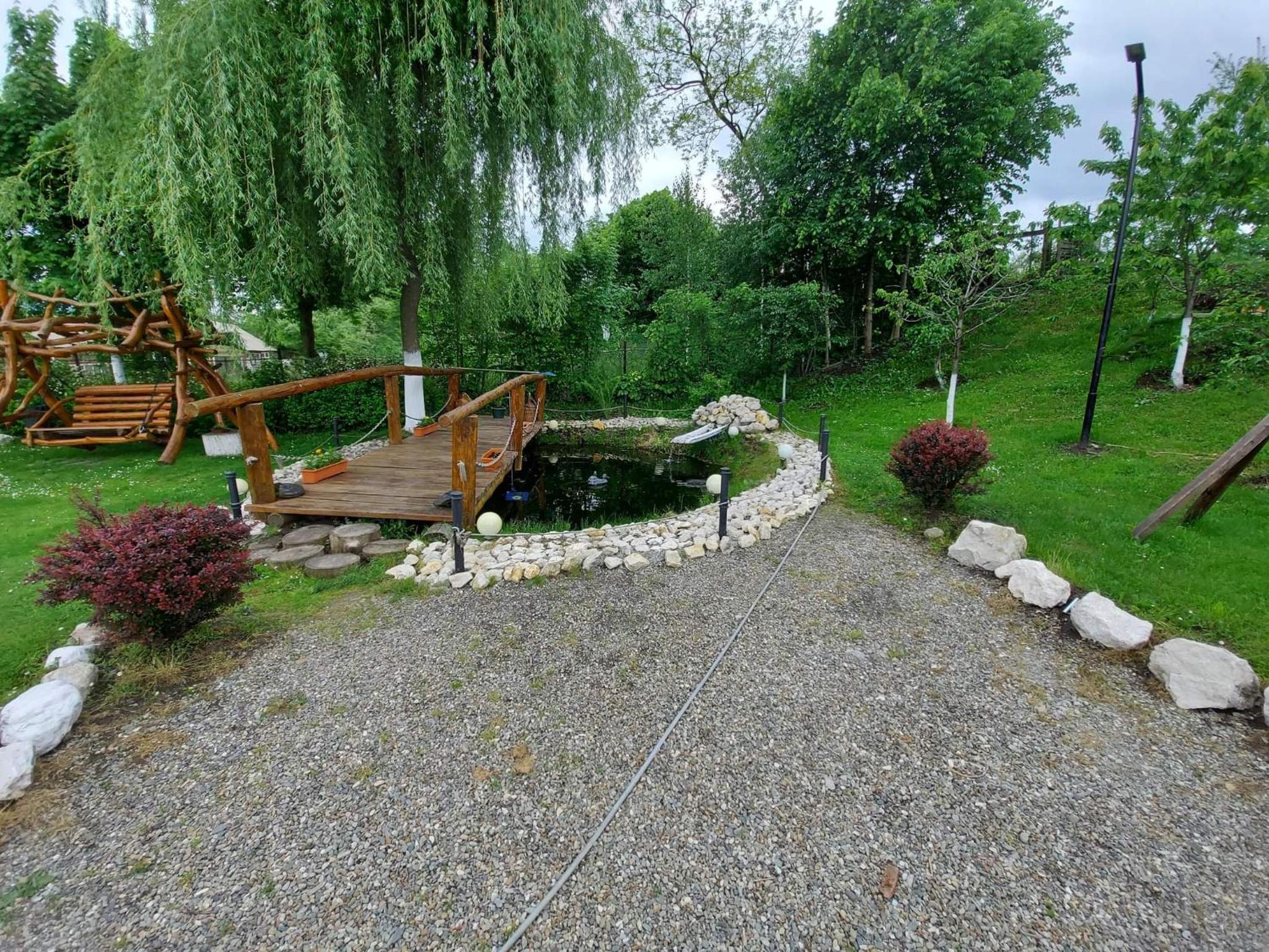 Photo 29