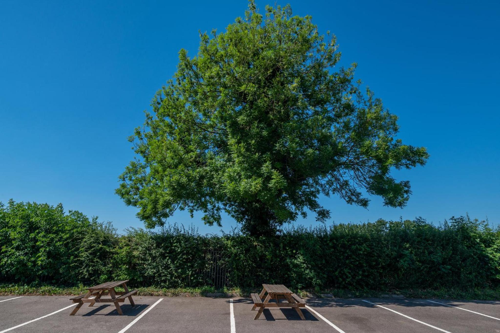 Leicester Vacations - Holiday Inn - Leicester - Wigston, an IHG Hotel - Property Image 41