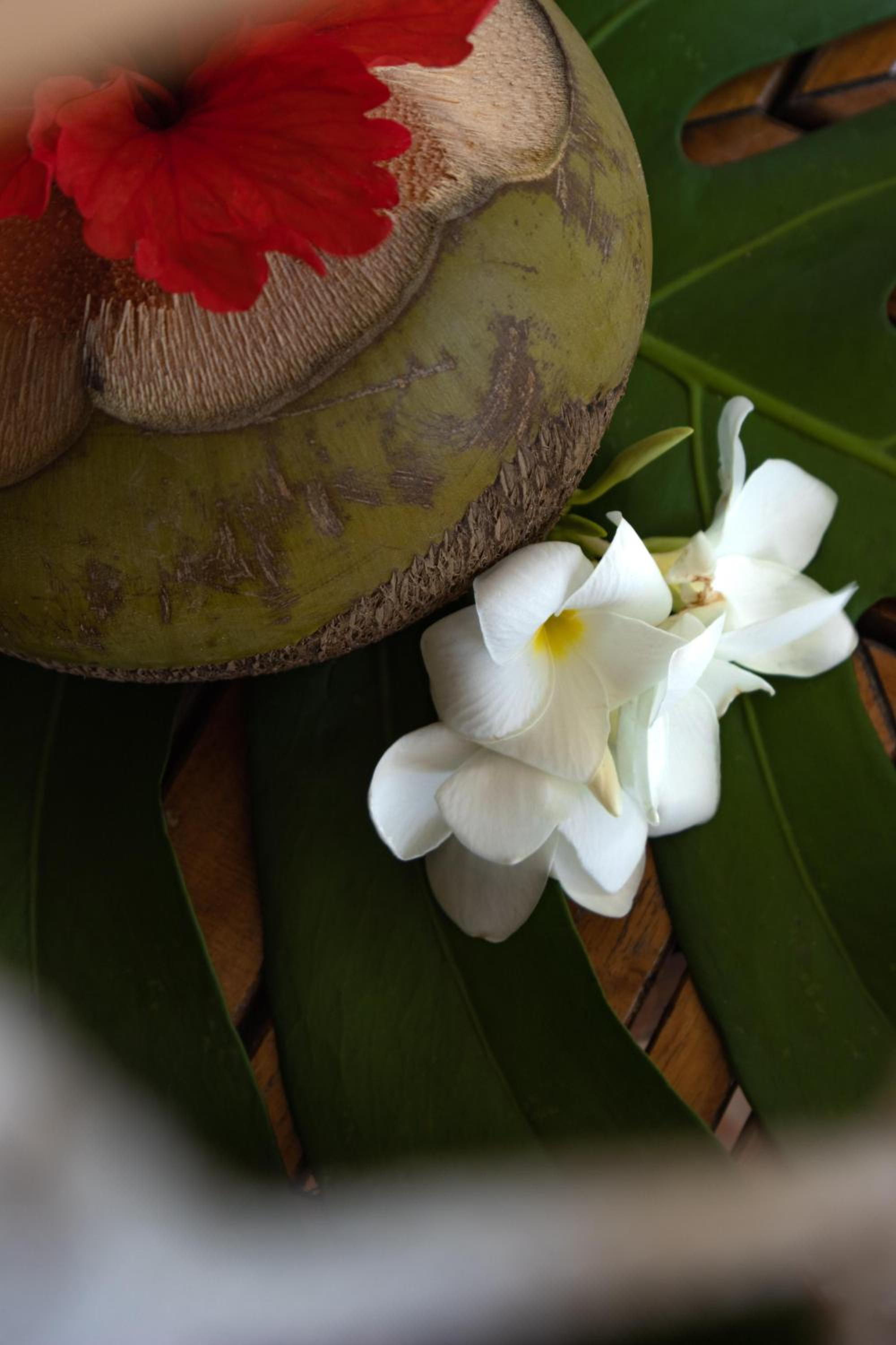 La Perla del Caribe - Villa Emerald