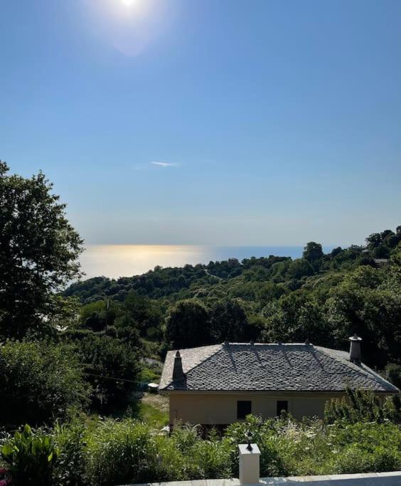 Villa Consta