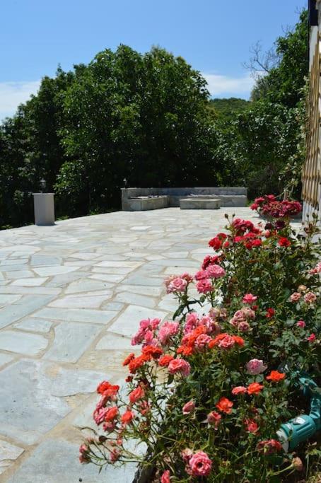 Villa Consta