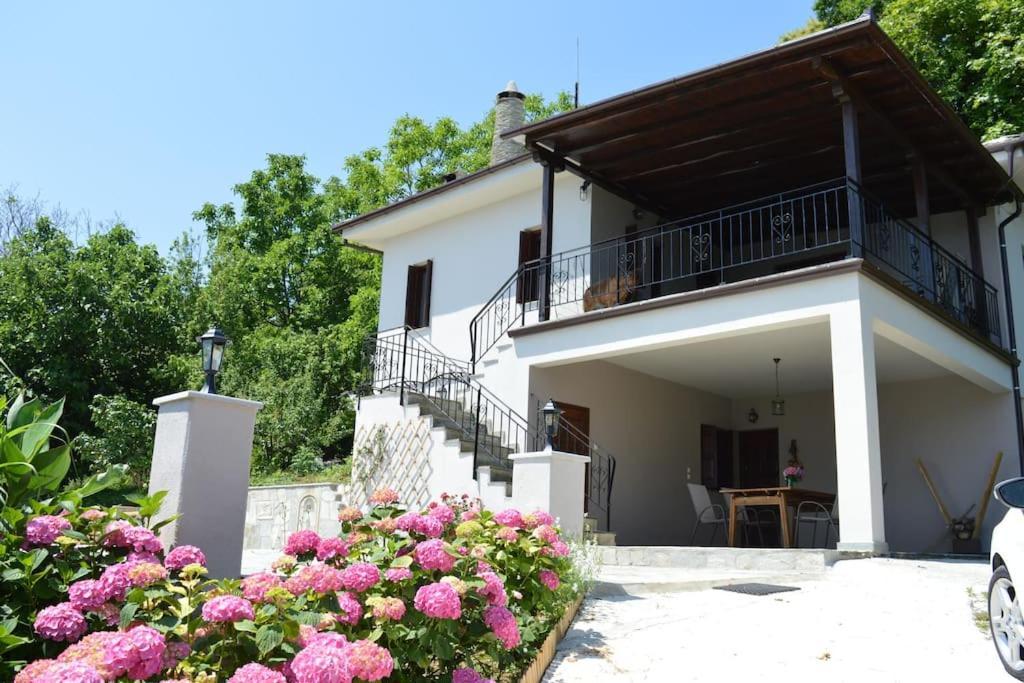 Villa Consta
