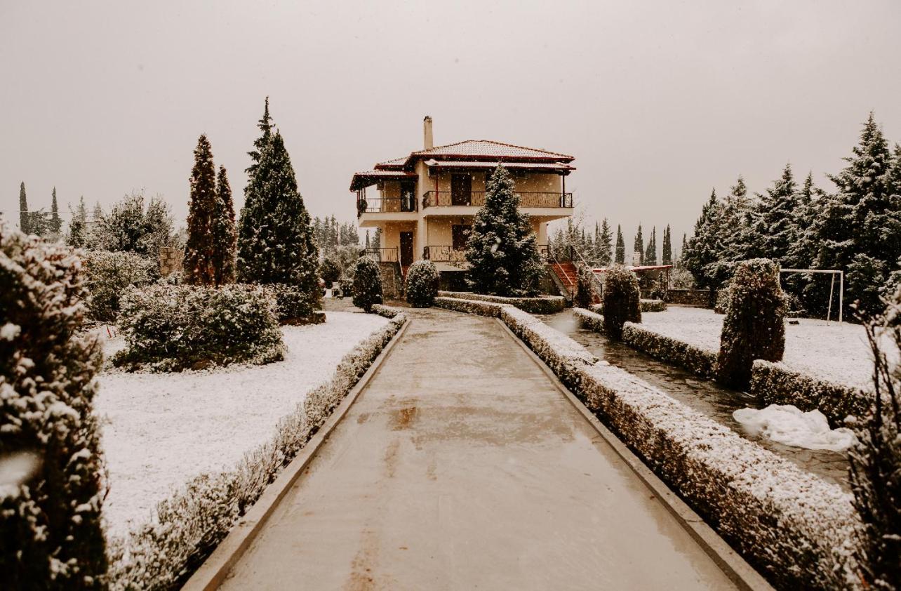 Lovely village house