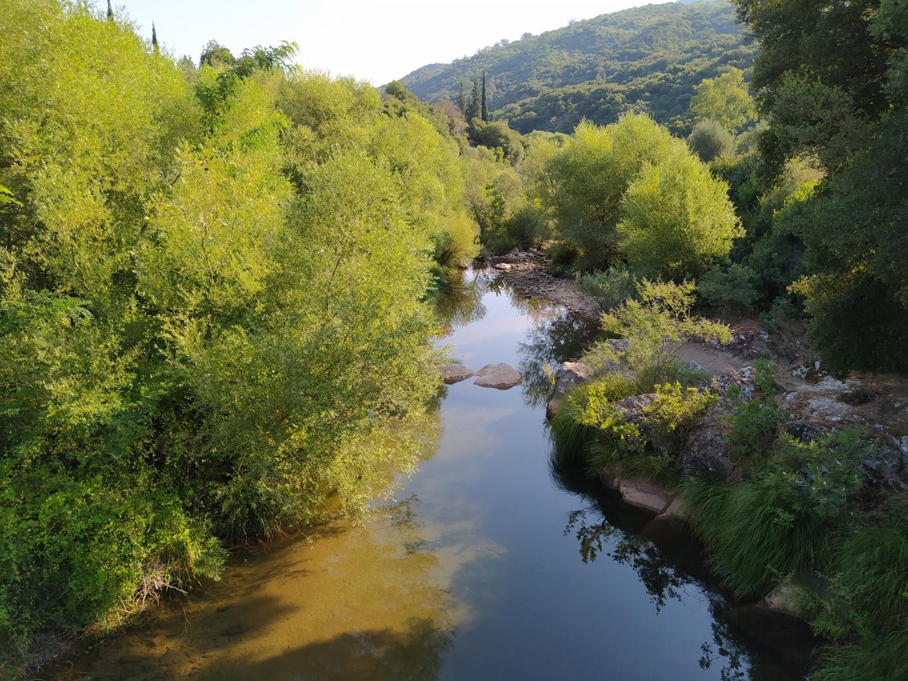 Photo 45