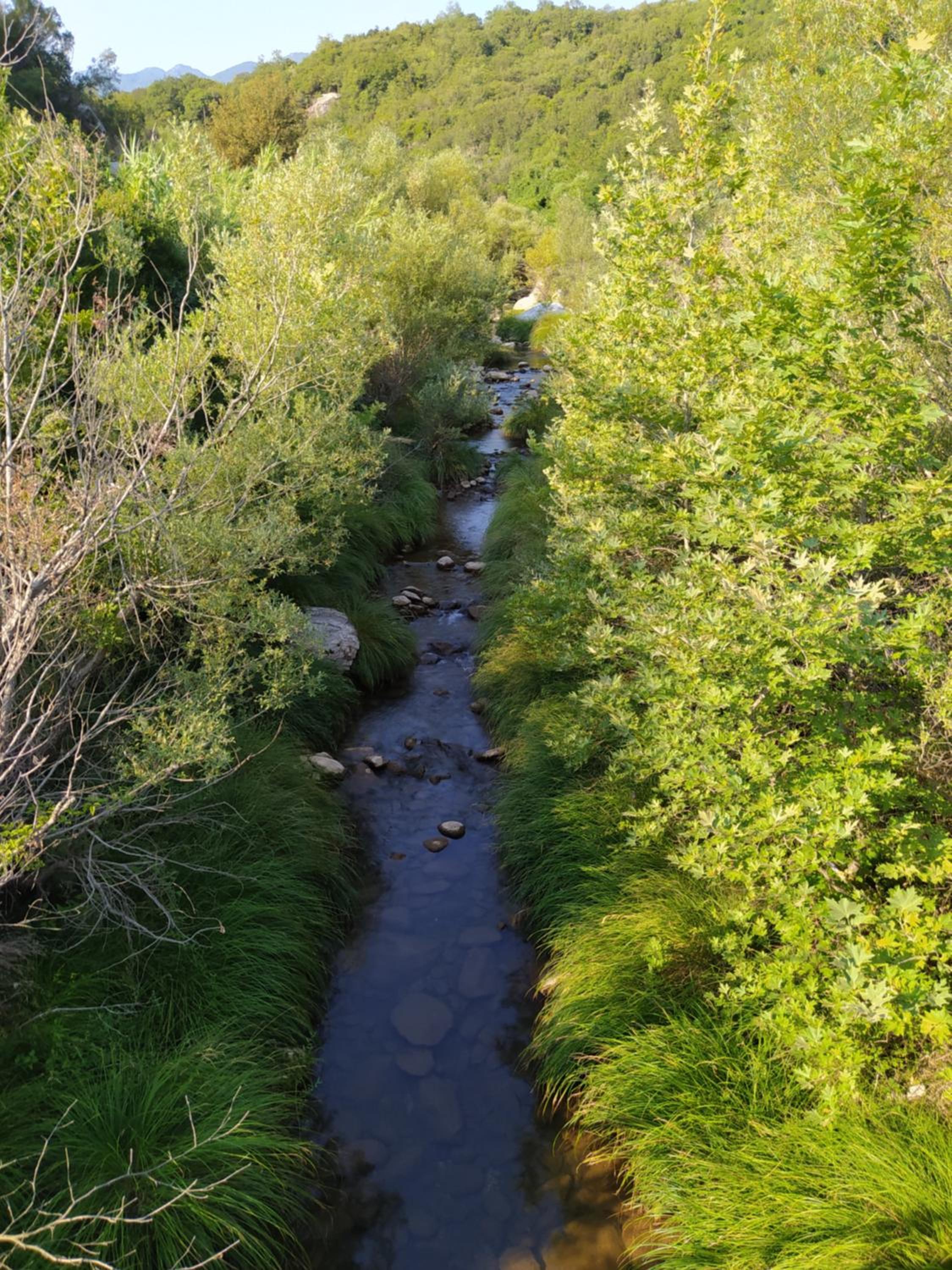 Photo 46