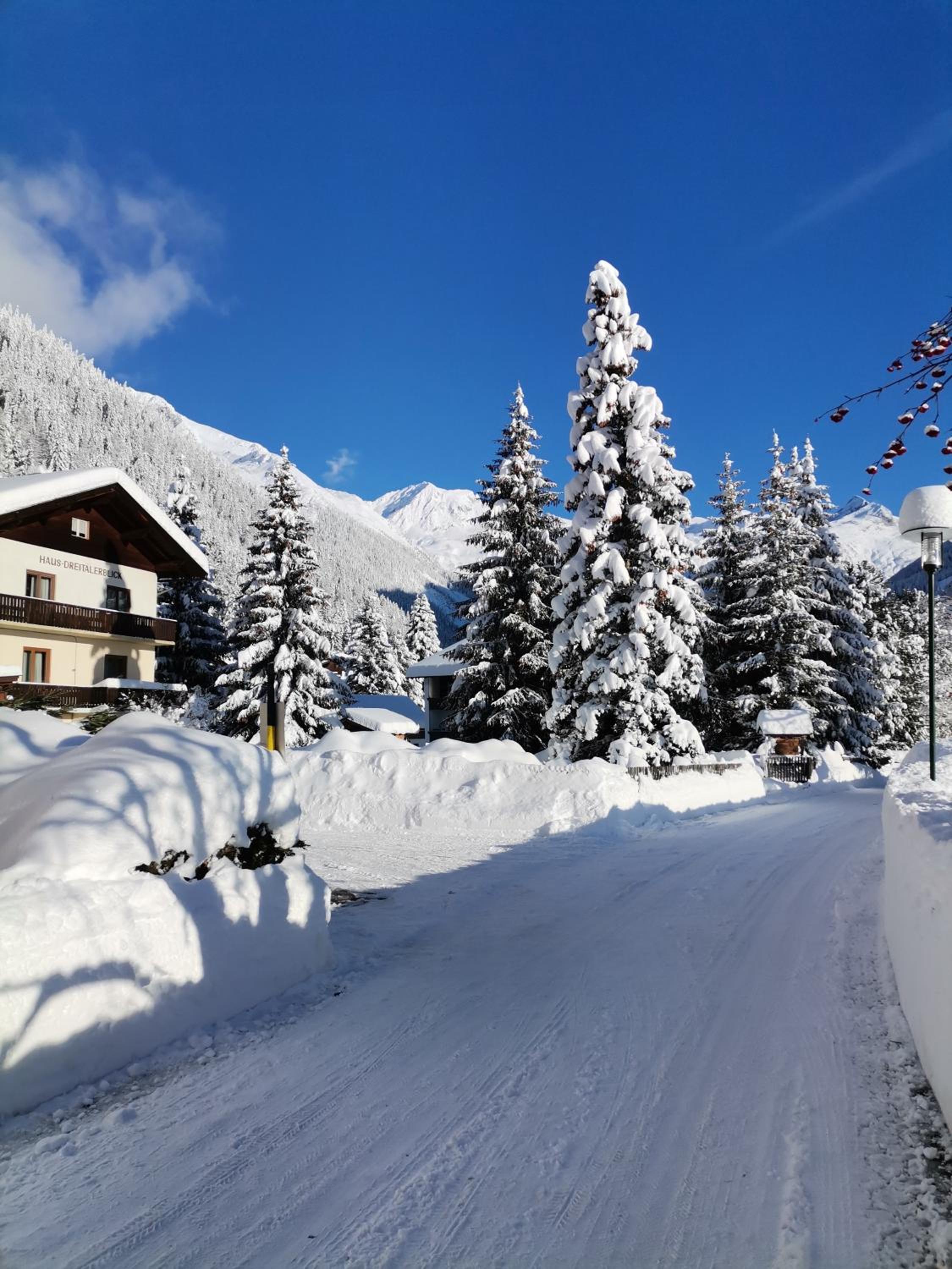 AH Carinthia Mallnitz - Carinthia Appartements