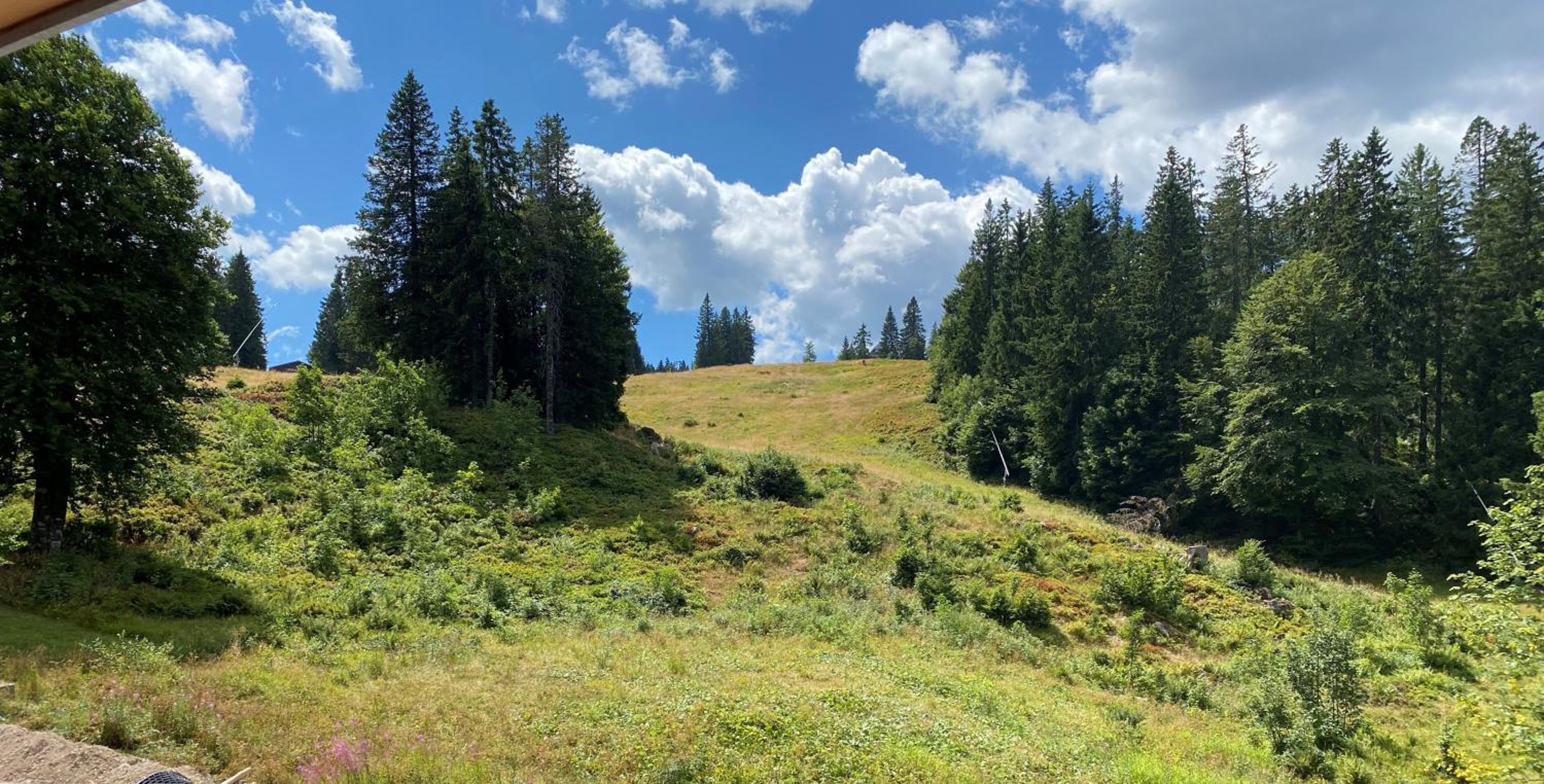 Ferienwohnung Feldberg Schwarzwald