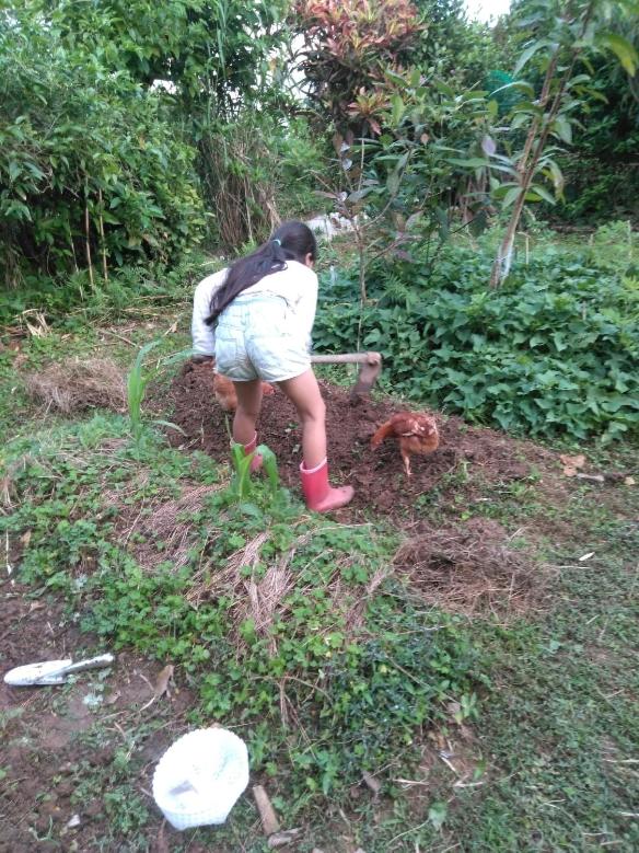Photo 21
