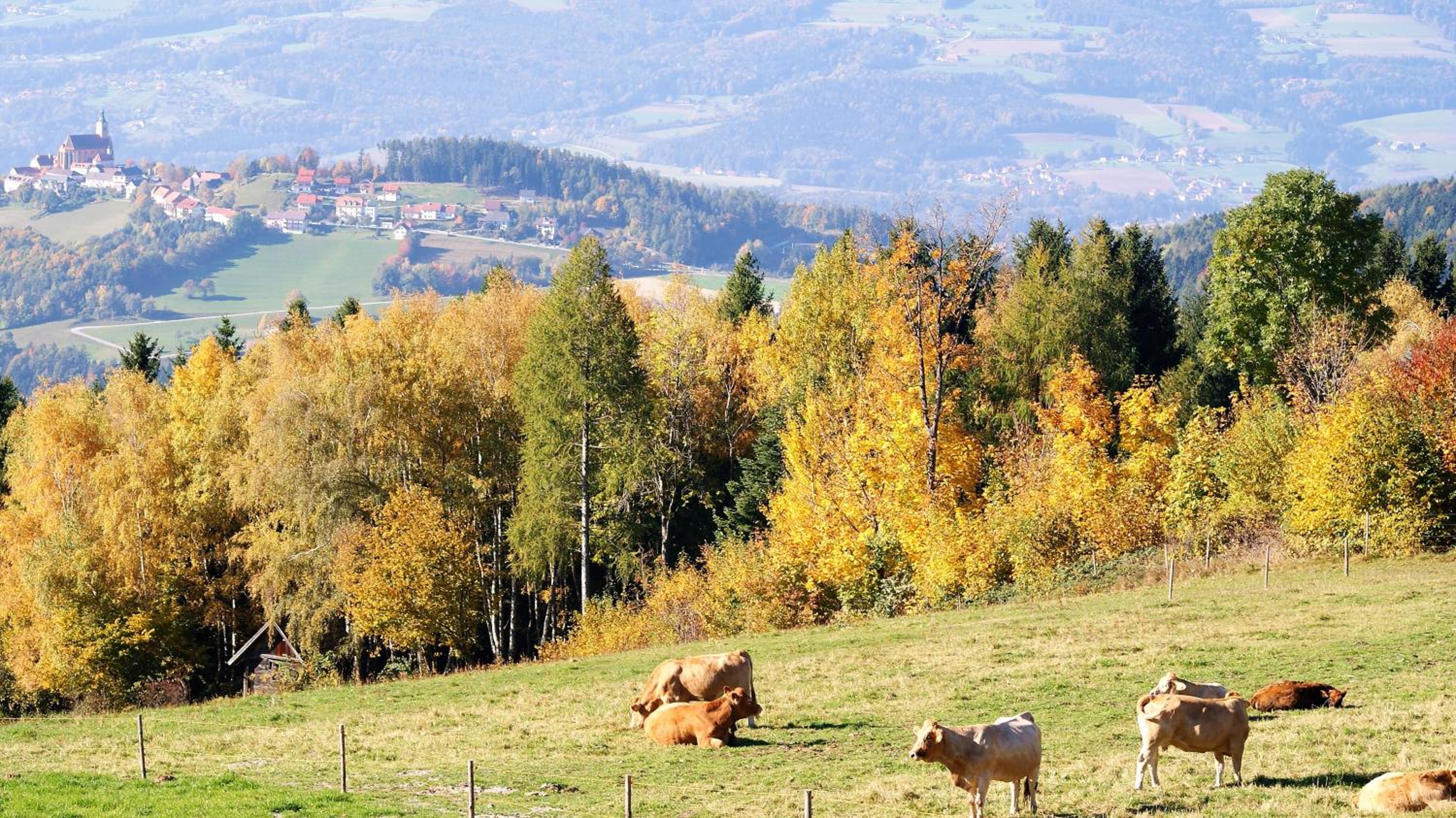 Ferienhaus mit Panoramaausblick und Sauna - 3 SZ