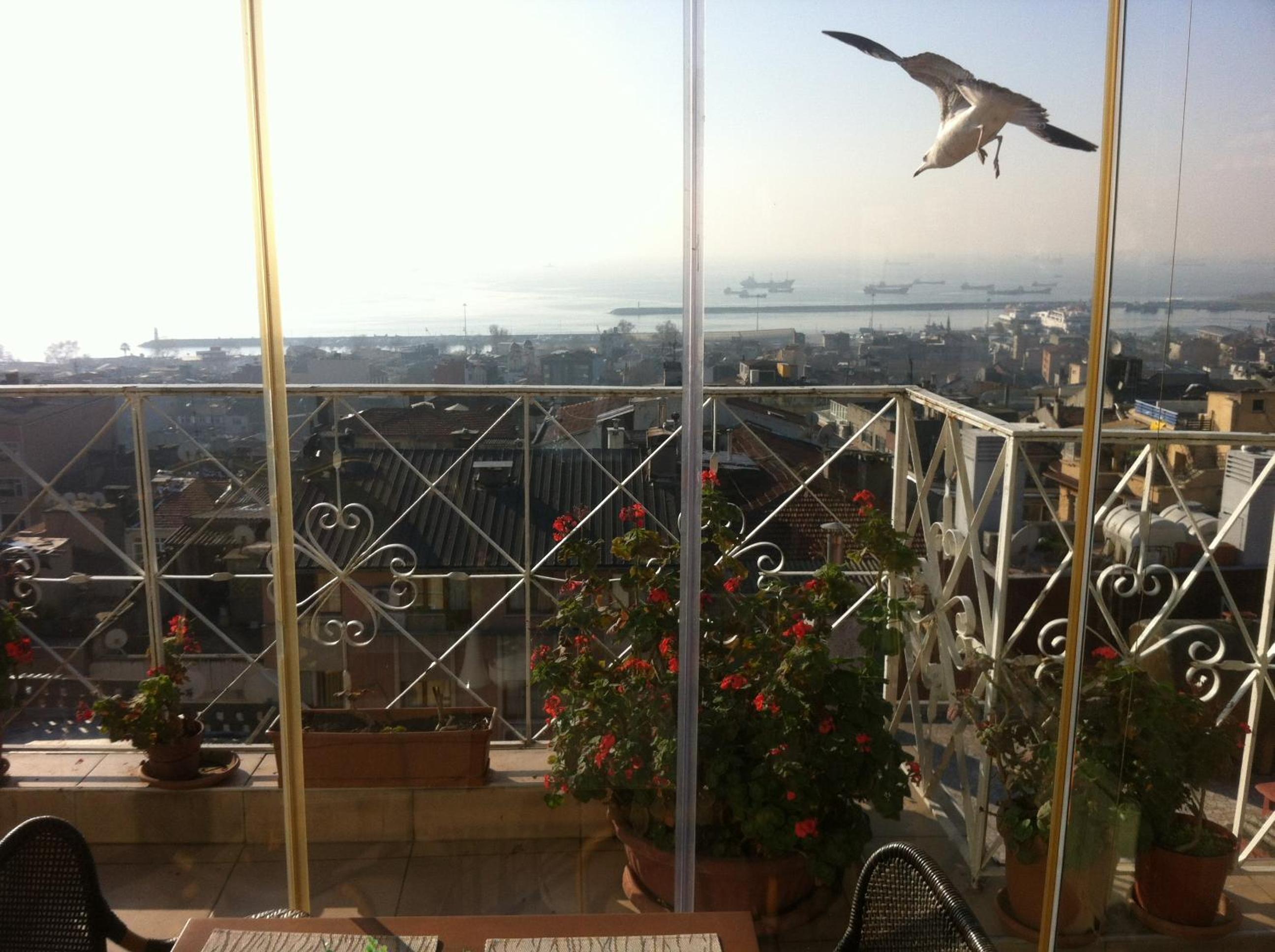 Hotel Linda becomes Linda Otel. - Image 26