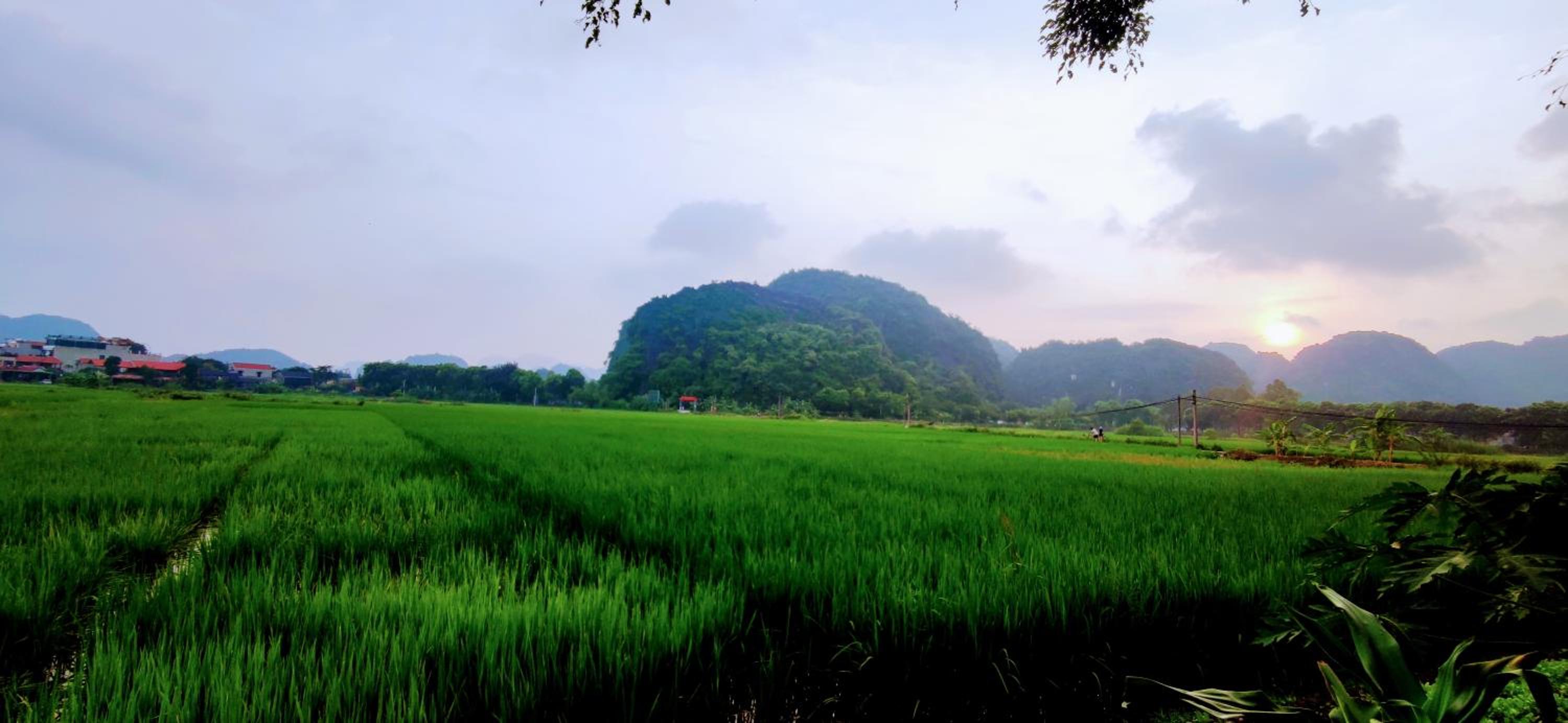 Tam Coc Eco Field Nest By ANMS GROUP