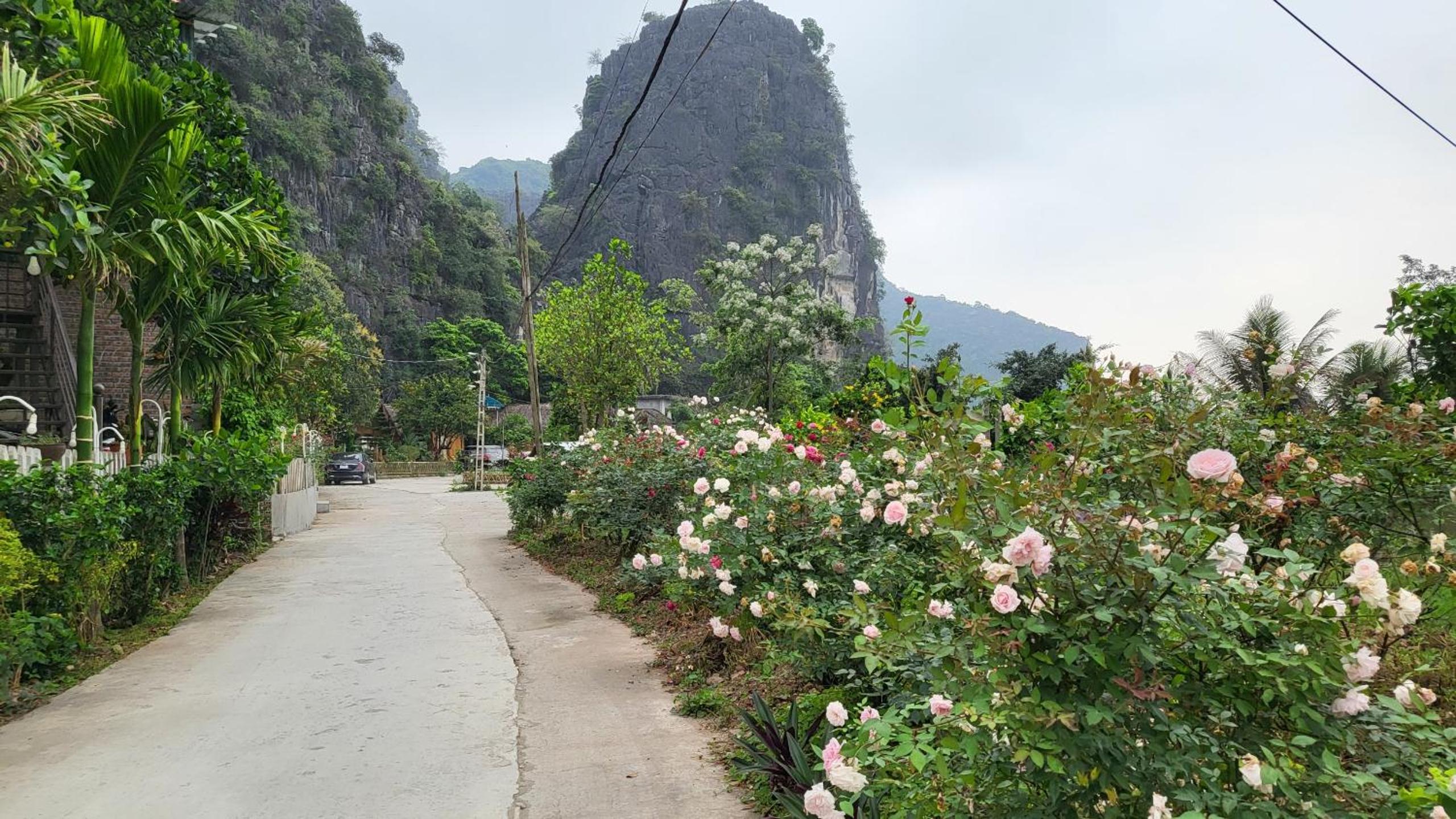 Tam Coc Eco Field Nest By ANMS GROUP
