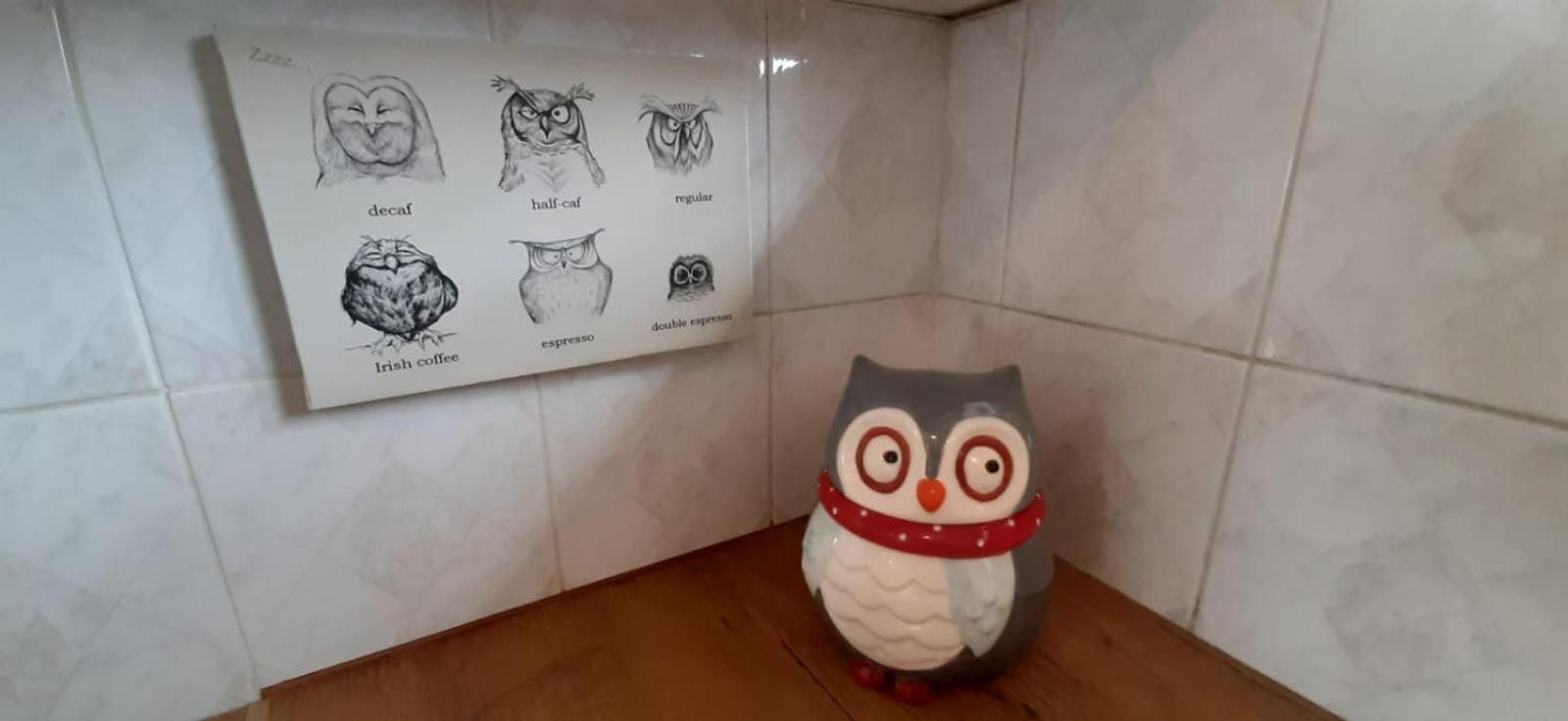 The Spotted Owl