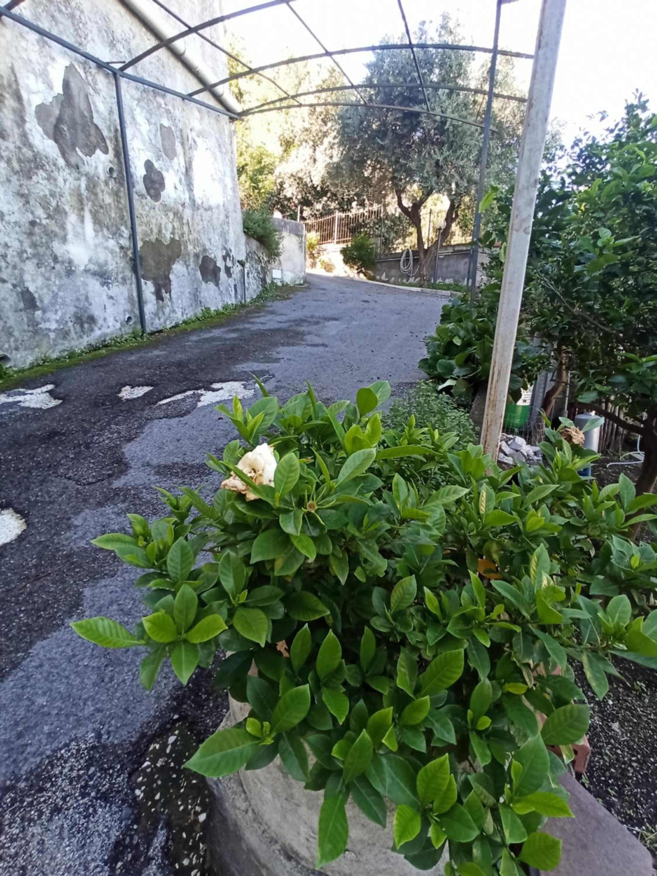 Photo 46
