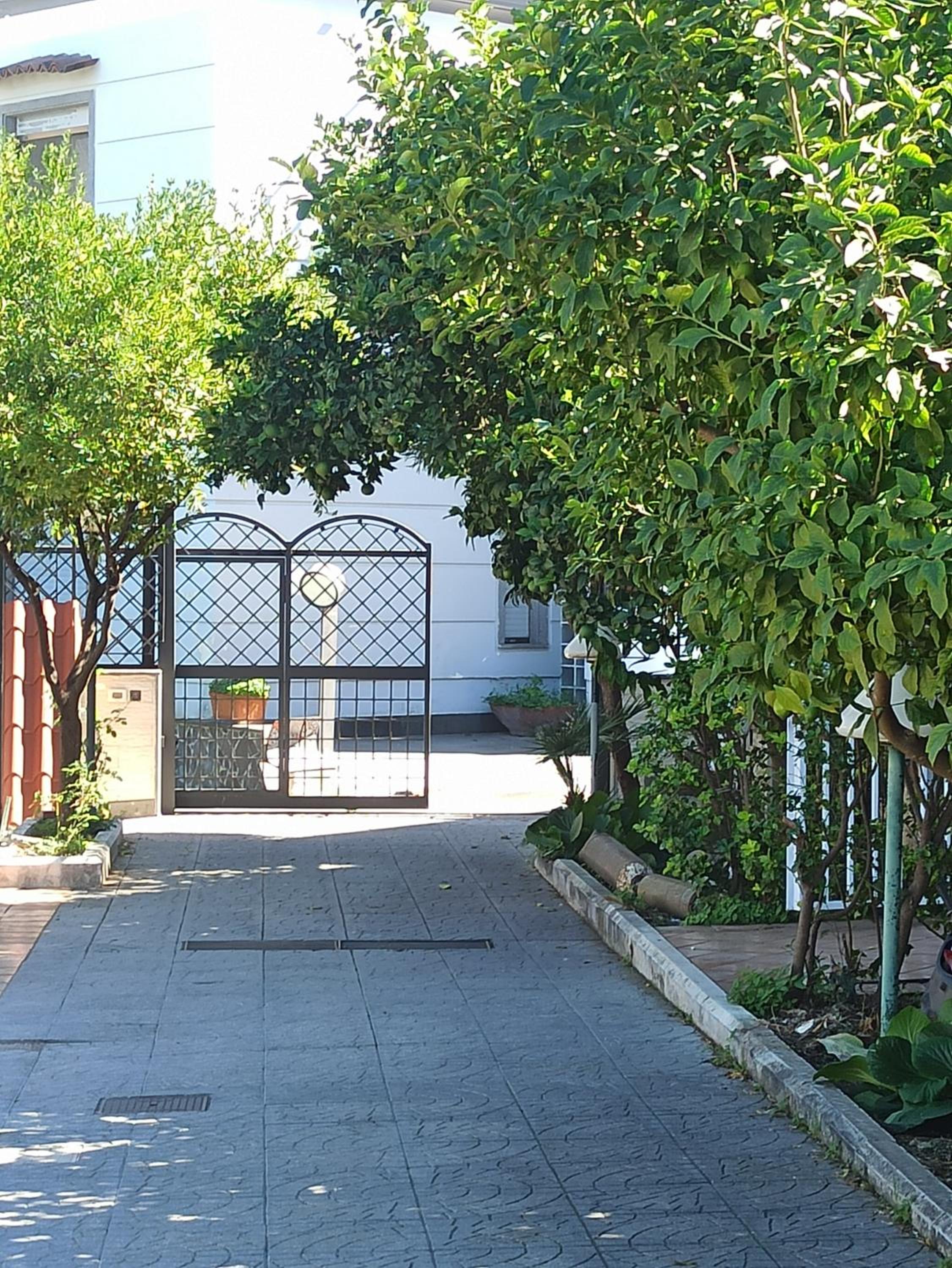 Photo 45