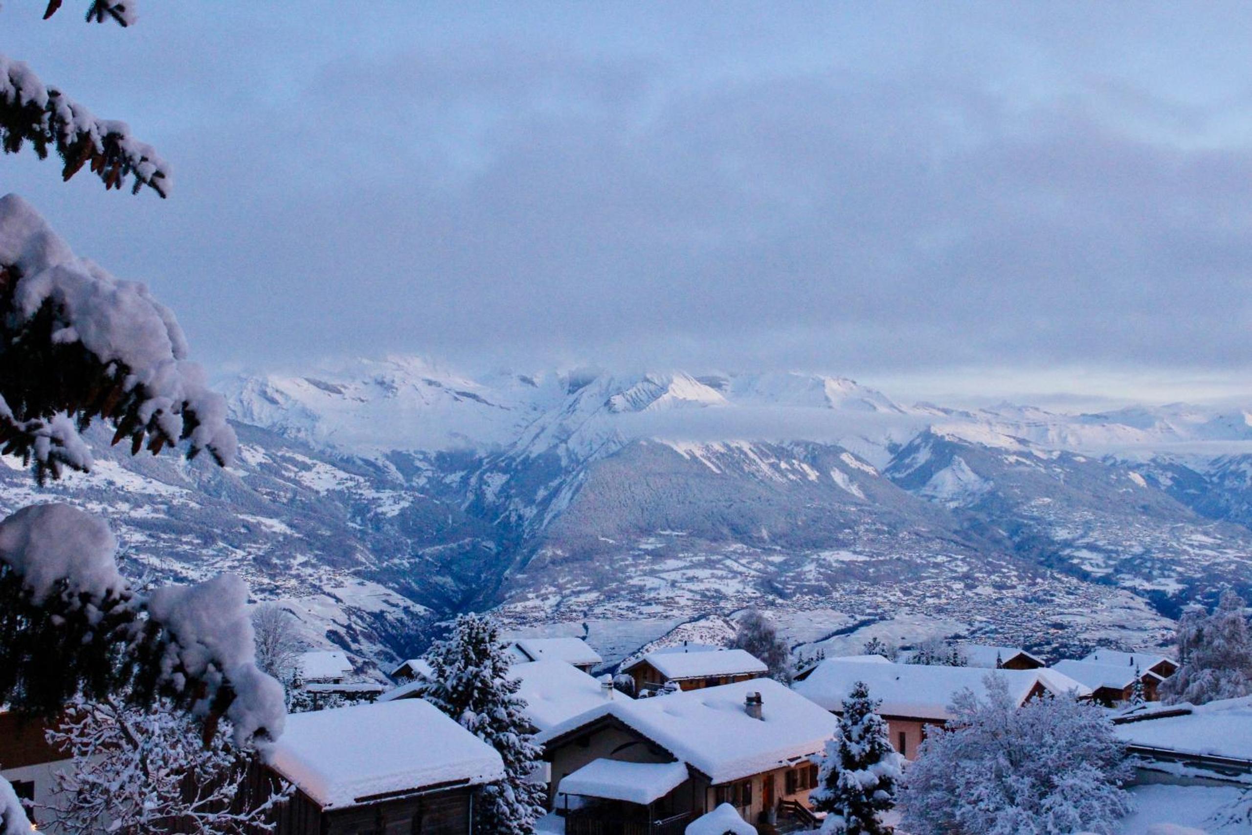 Photo 205