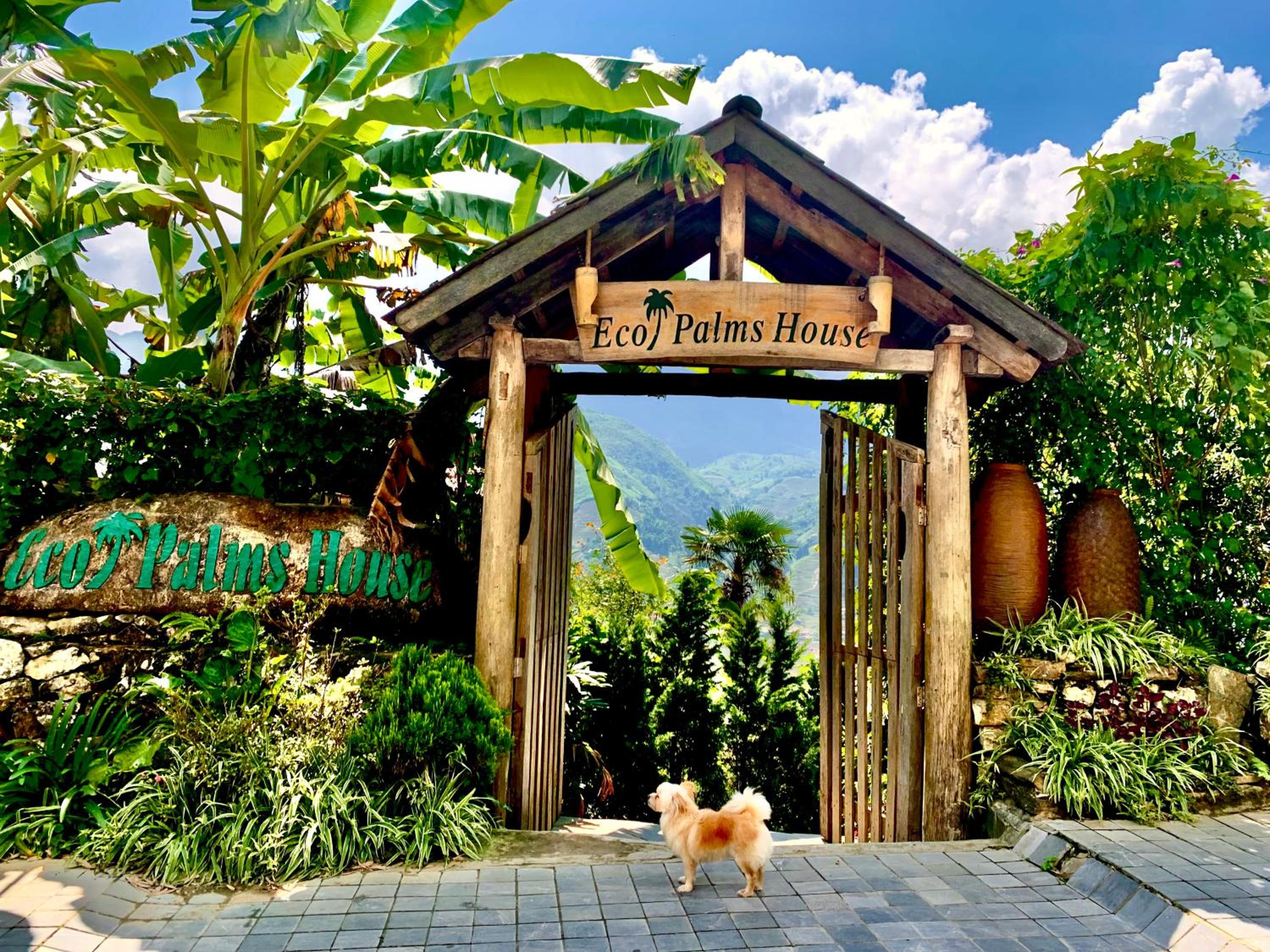 Eco Palms House - Sapa Retreat