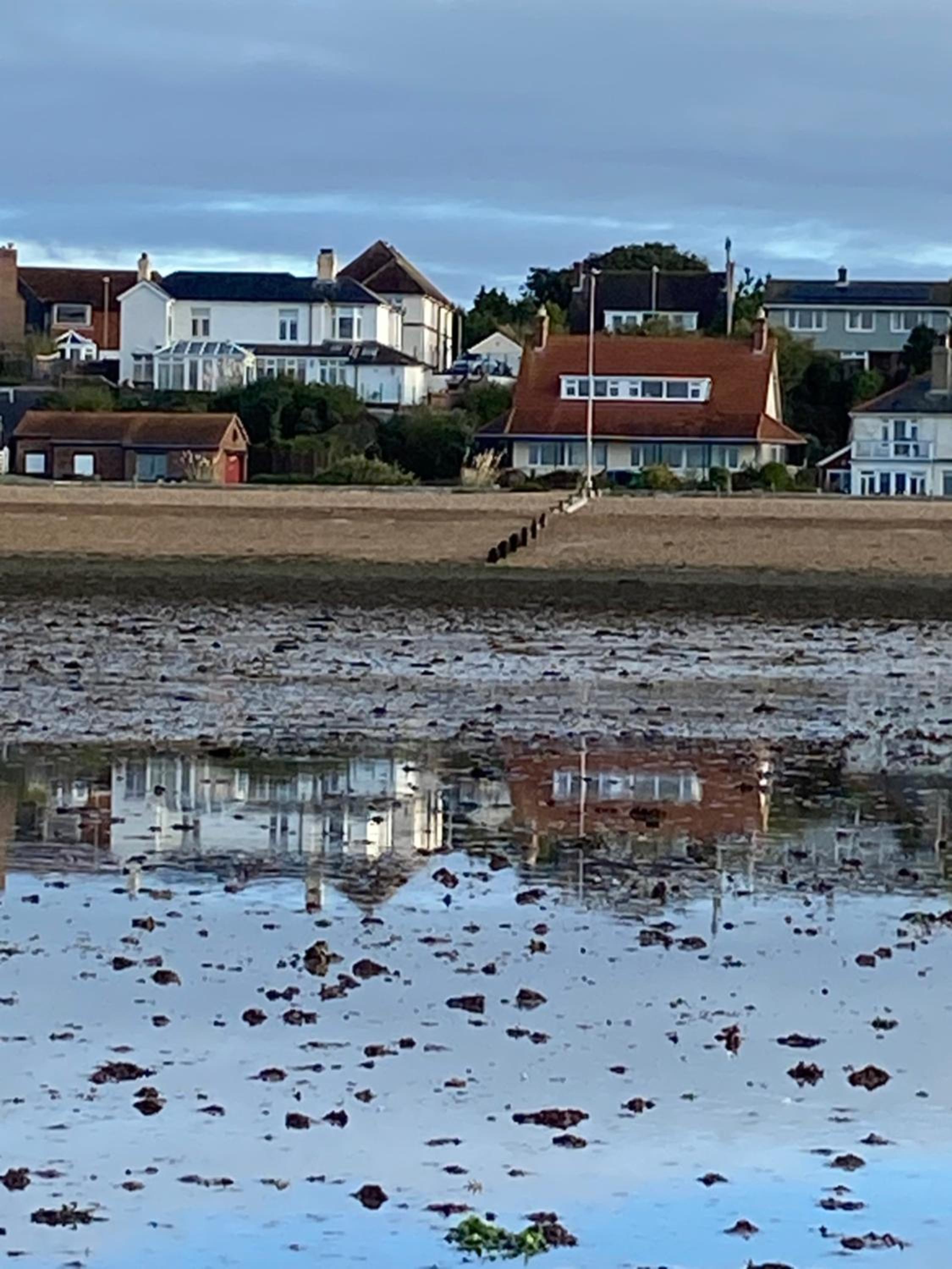 The Patch view 3