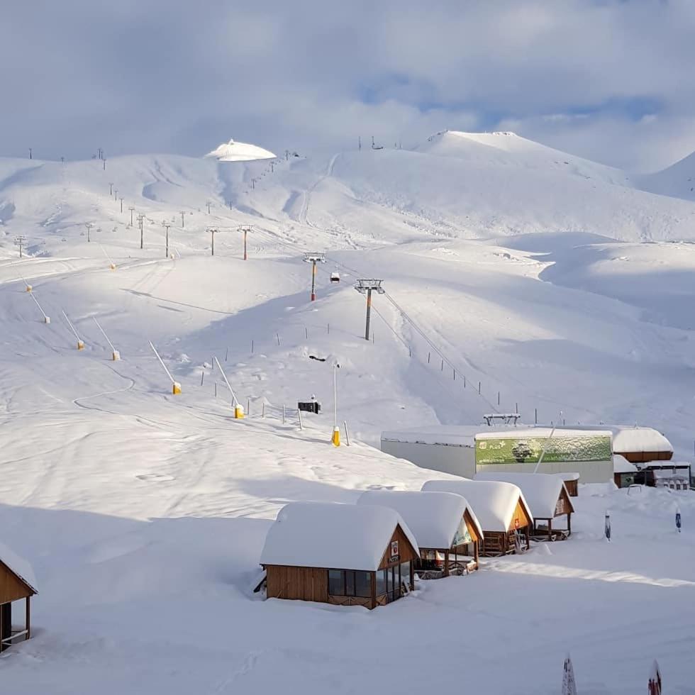 Luxury Apartment Kavkaz View