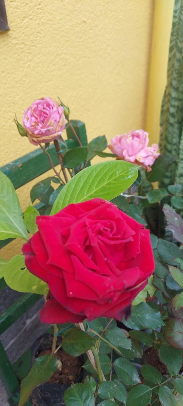 Pousada 2 Baioco