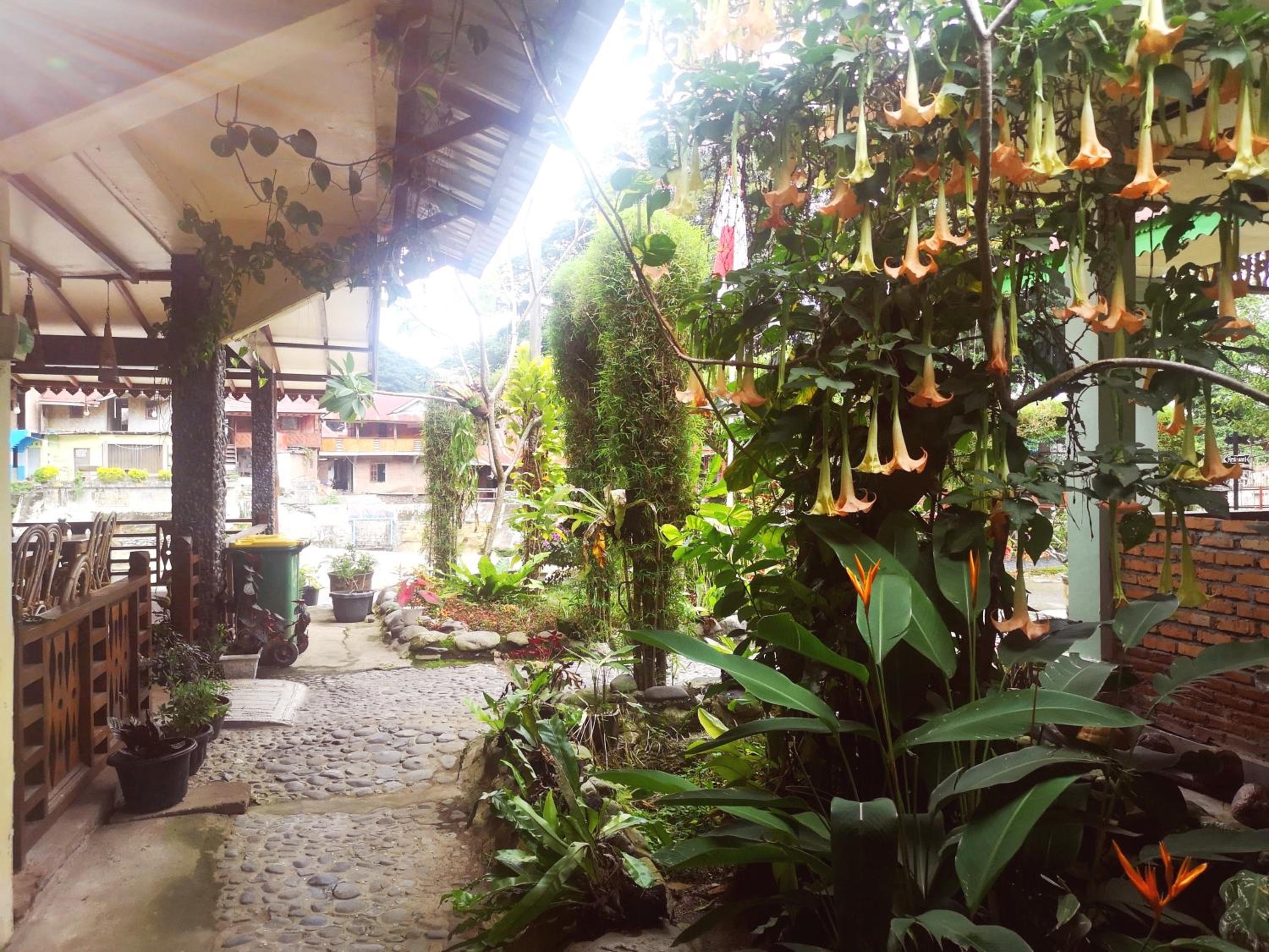 Wisma Leuser Sibayak & Jungle Trekking view 5