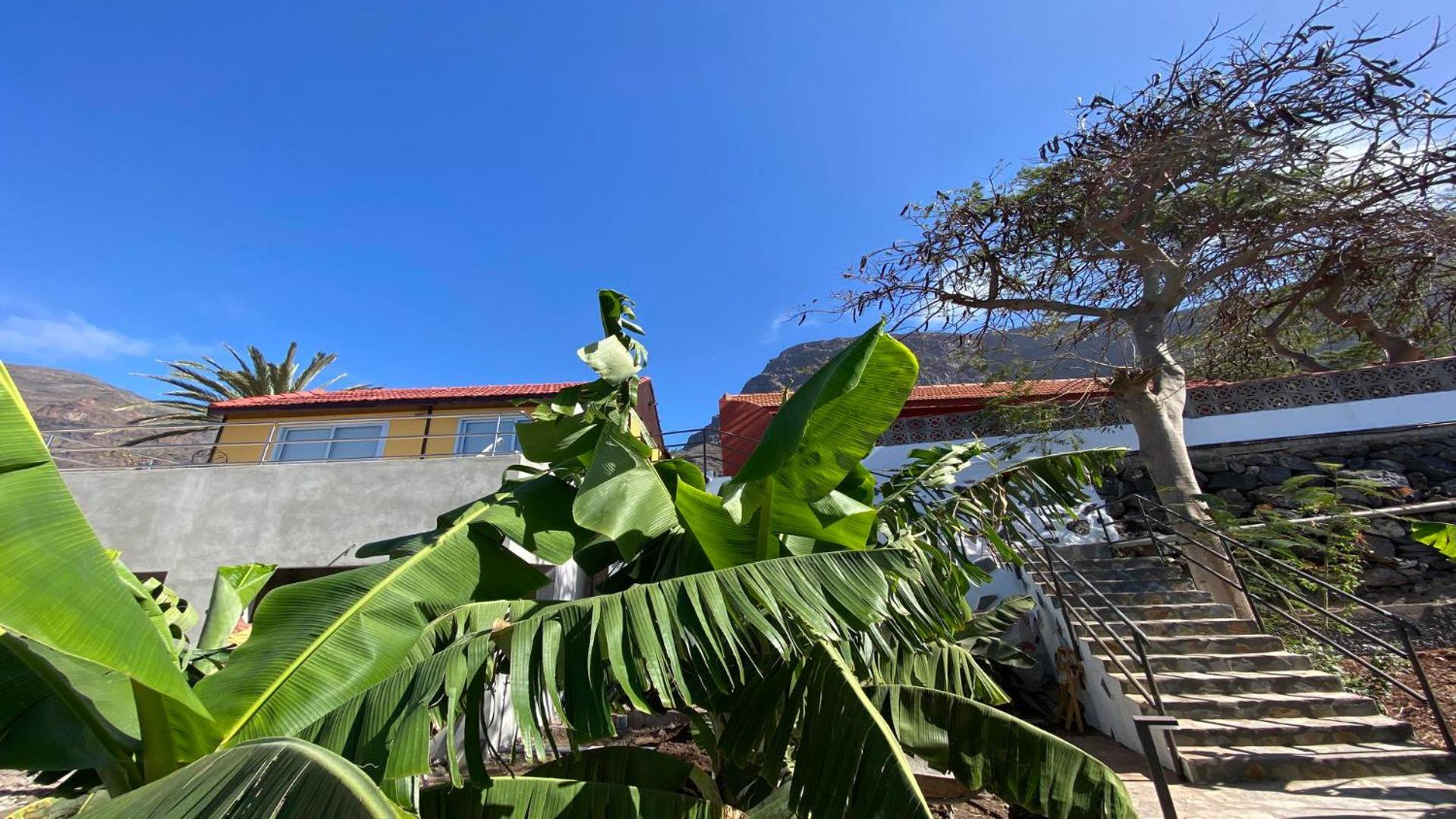 Estudio La Platanera