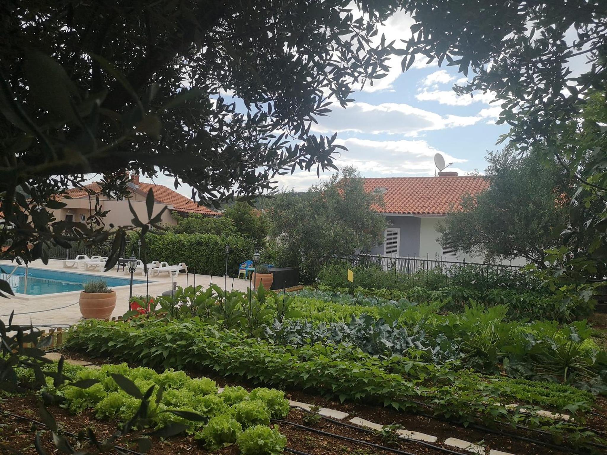 Villa Mendula Trogir - Luxury villa by the beach - heated pool - lush green garden view 4