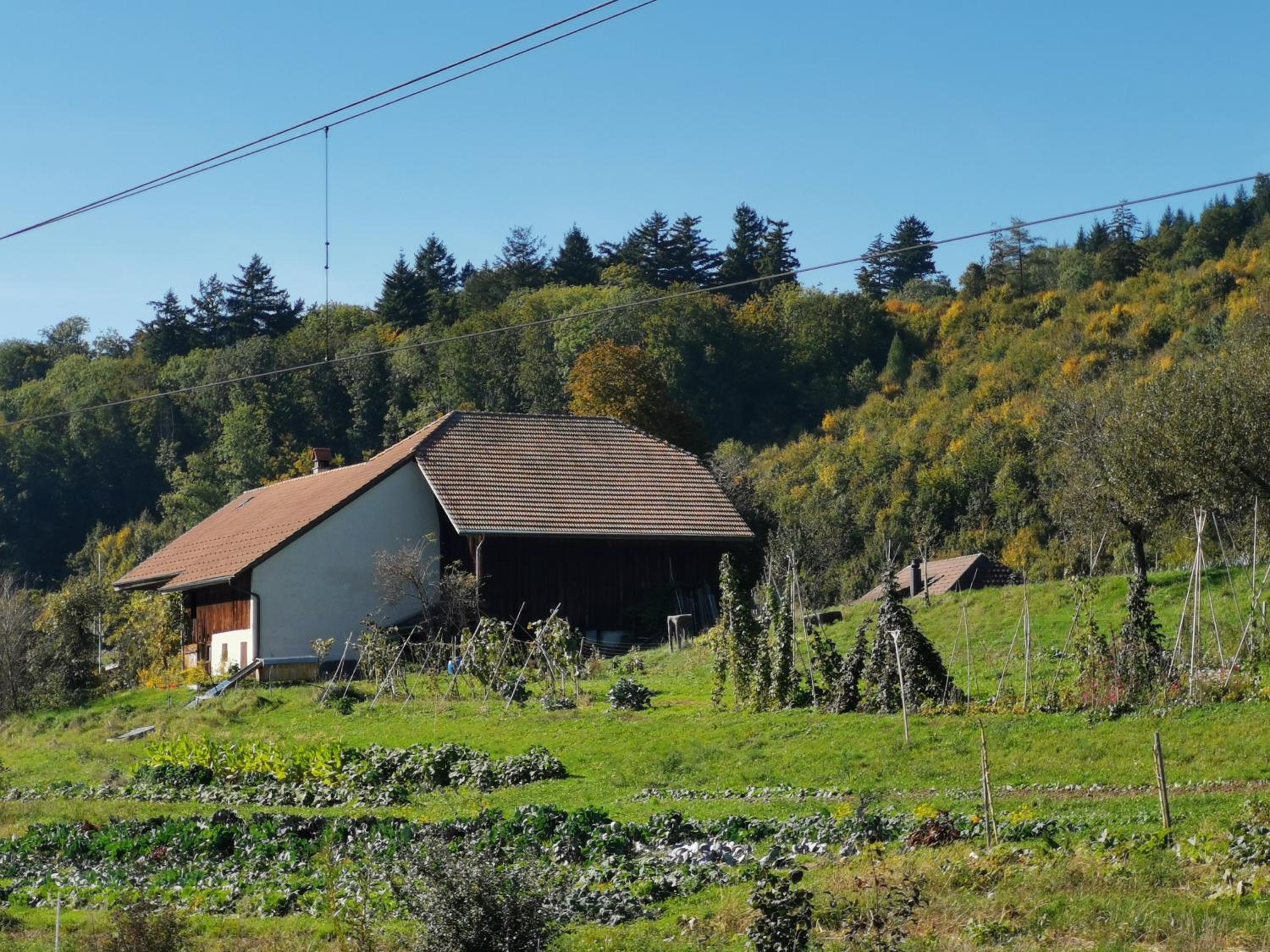 Jurastei 16