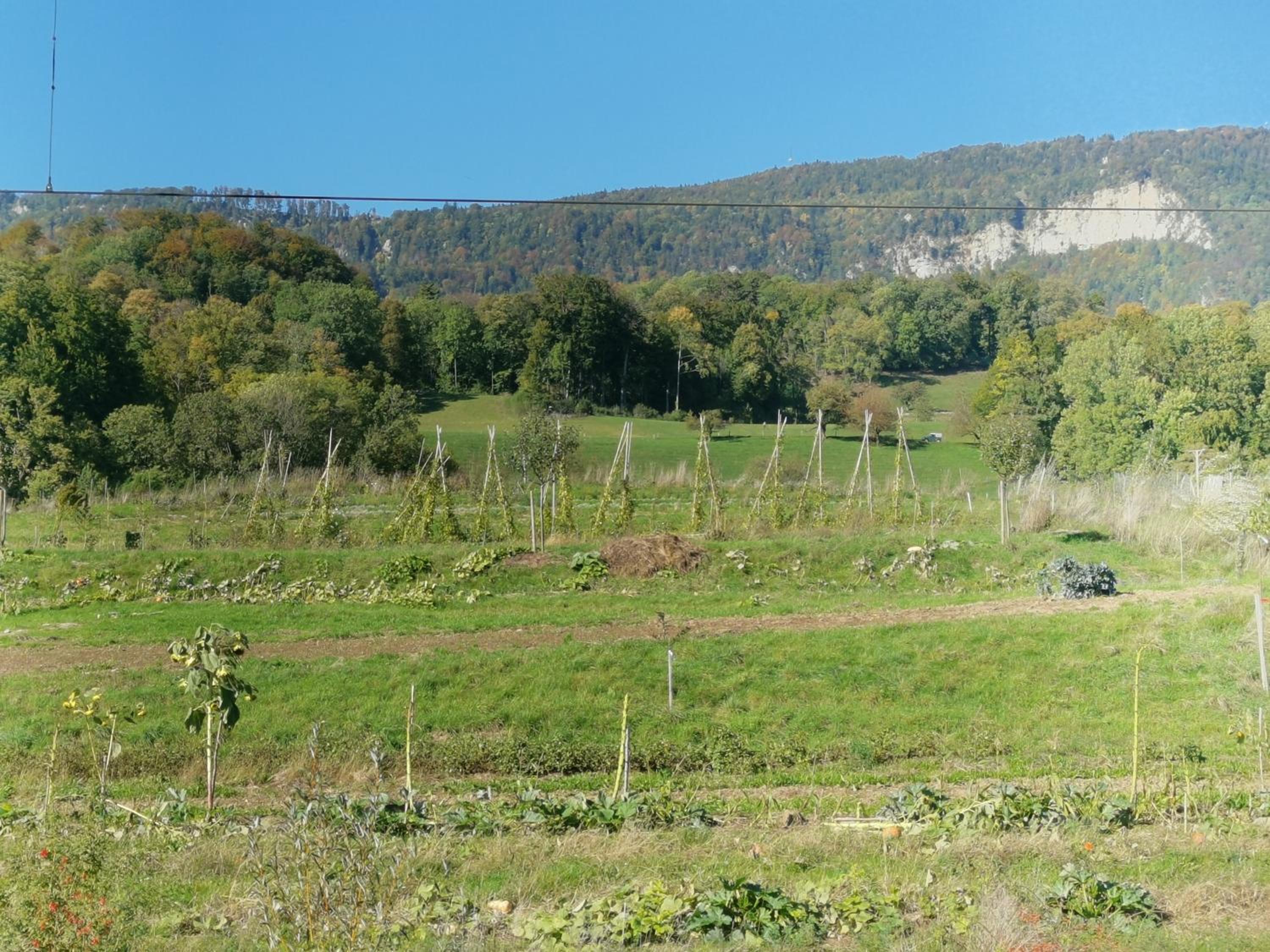 Jurastei 16