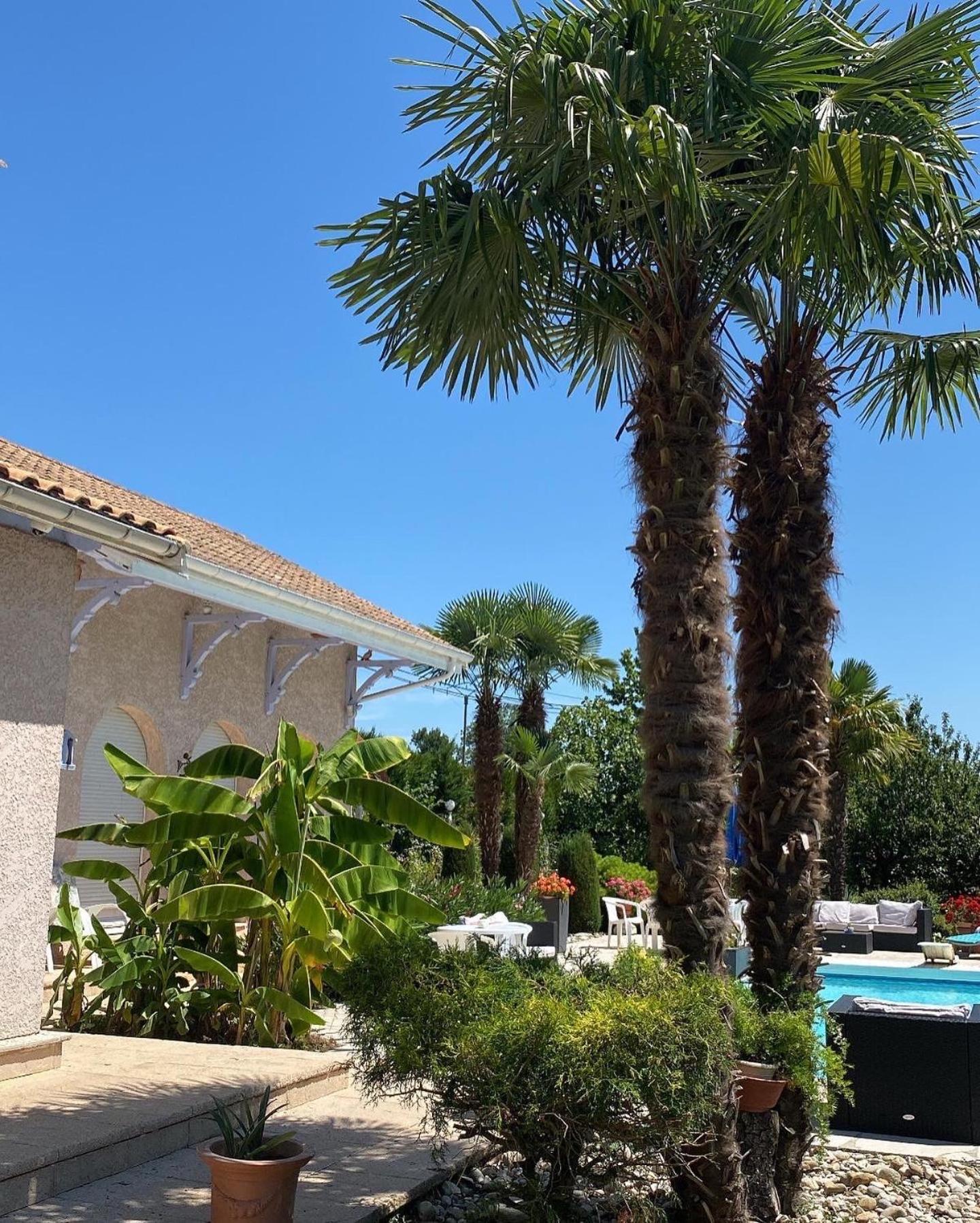 Domaine de la Provençale