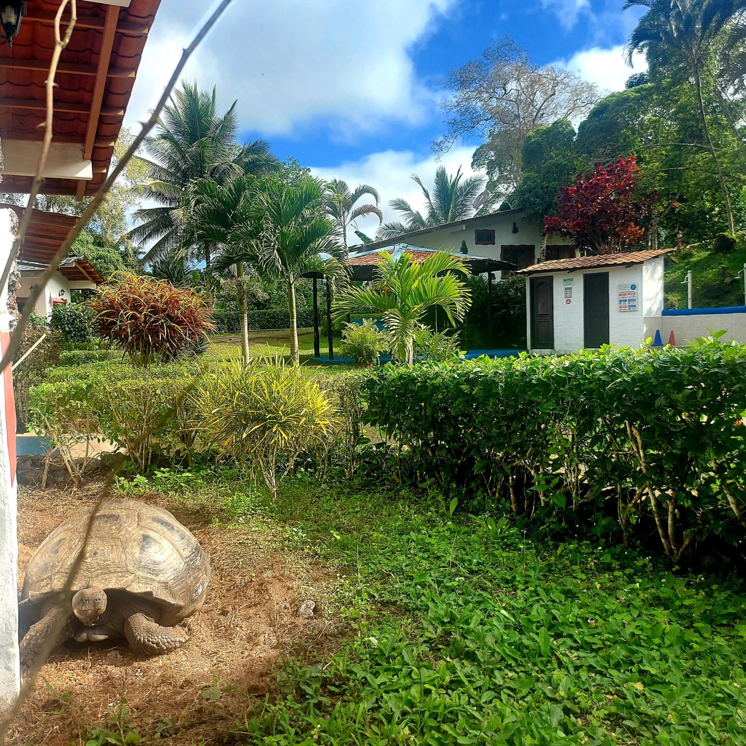 Piedras Blancas Lodge