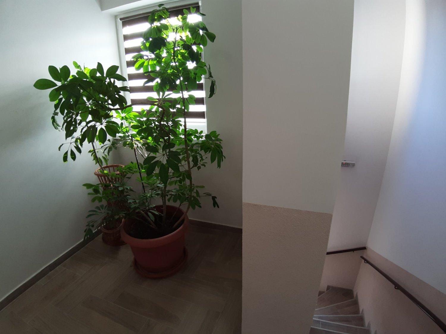 Apartments Manna Palic view 4