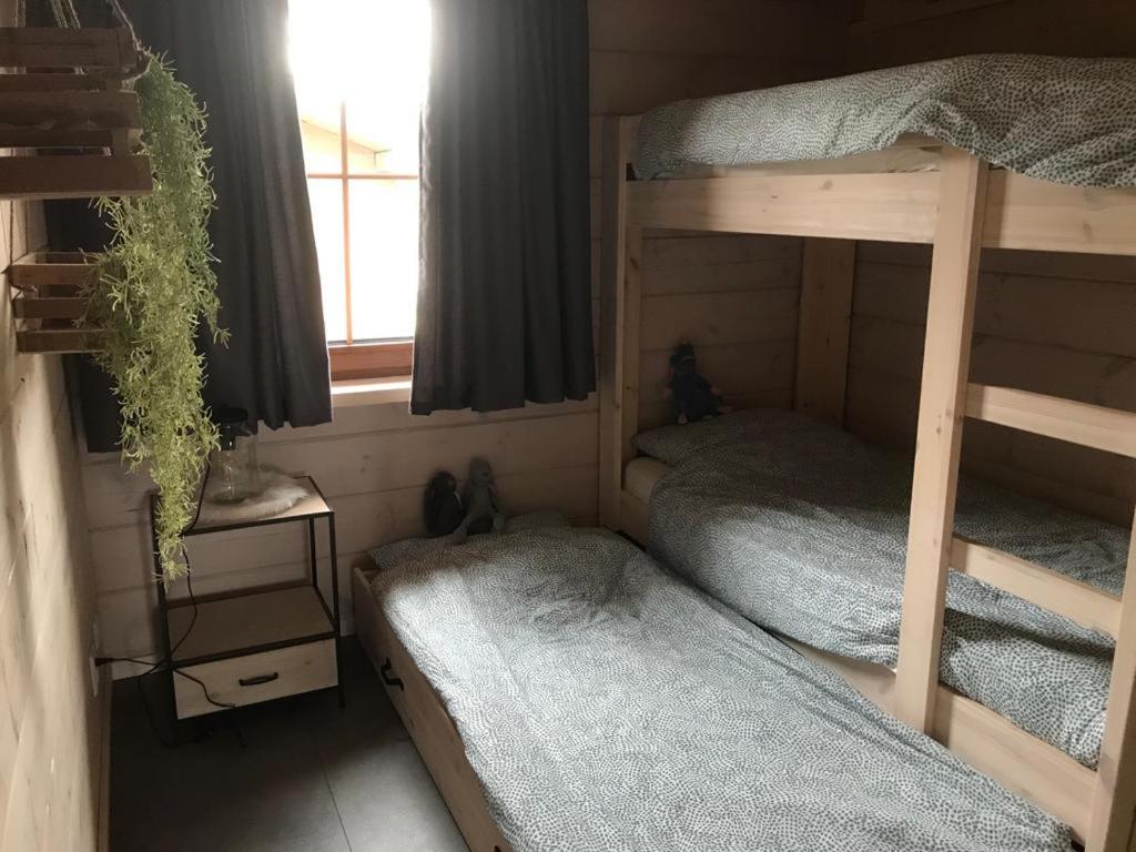 Chalet Momage dichtbij Skiliften, Skiverhuur en Bikepark!