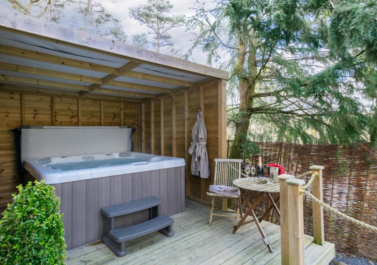Wisteria Cottage - Bwthyn yr Ardd view 5