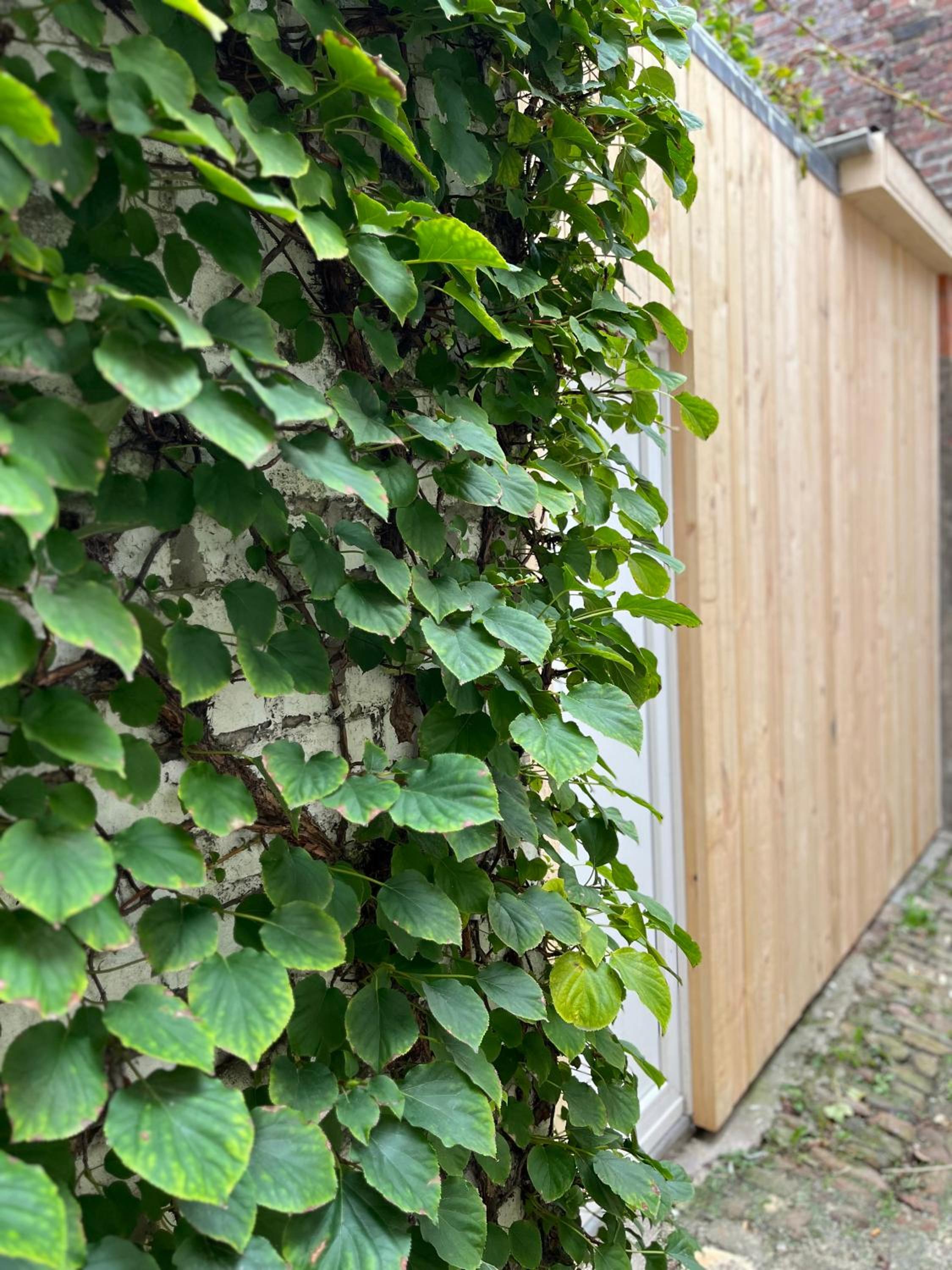 Little gate