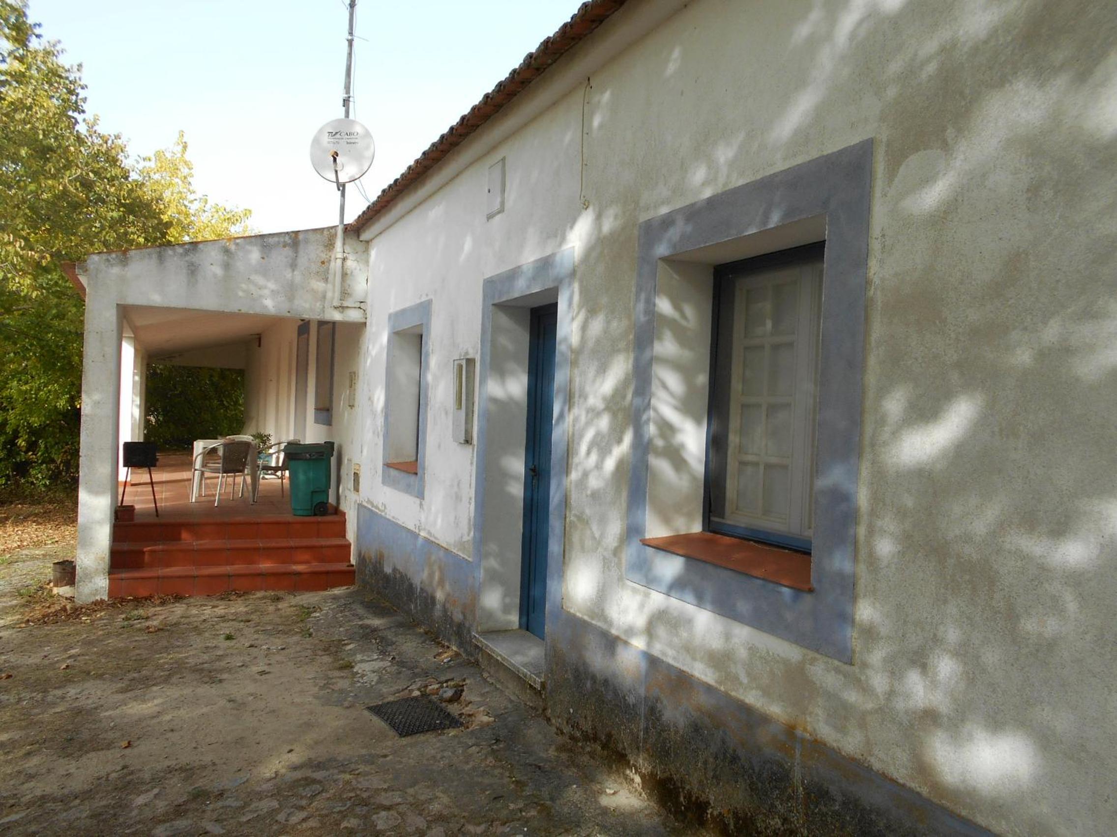 Photo 38