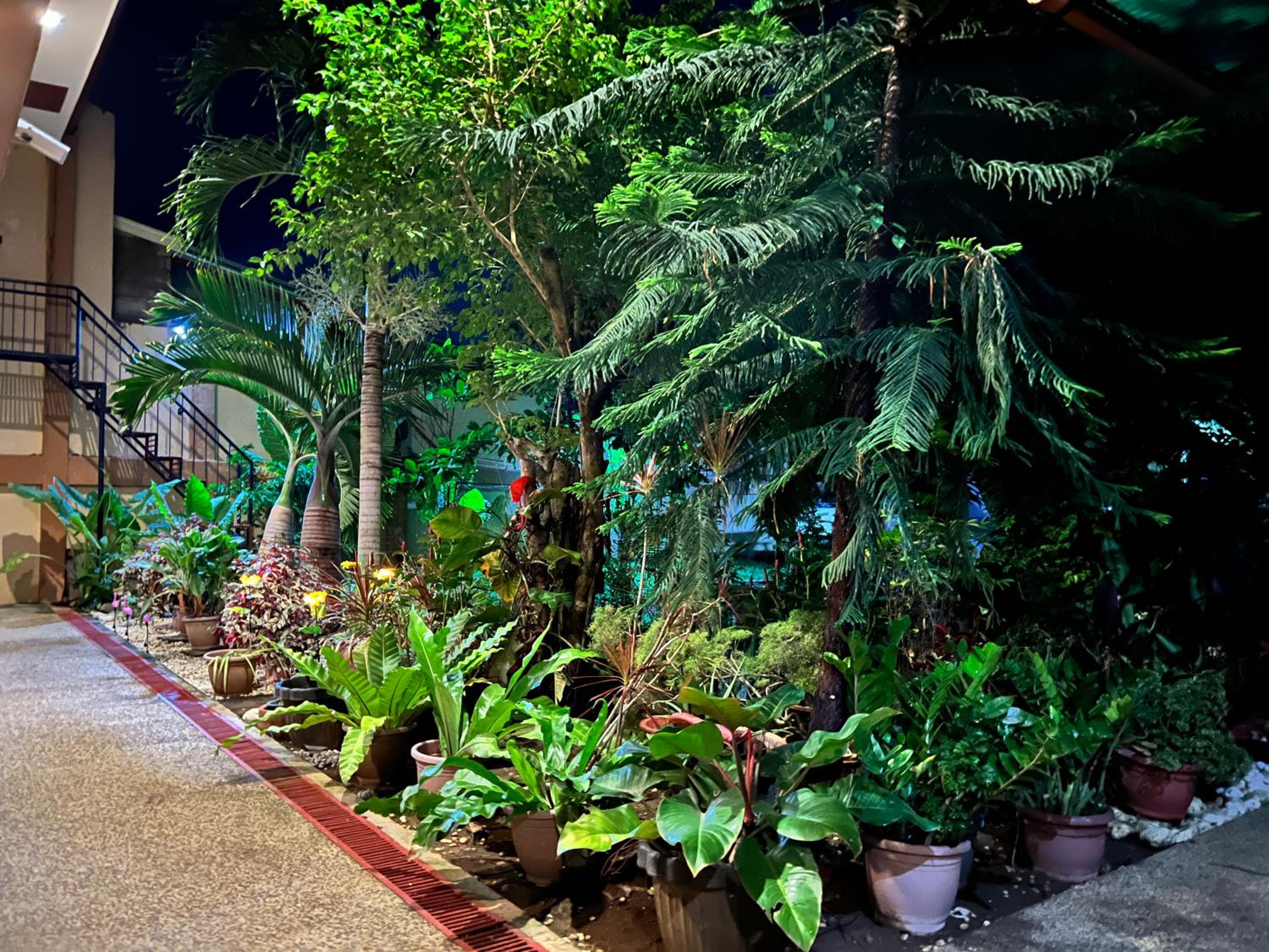 Mariafe Inn