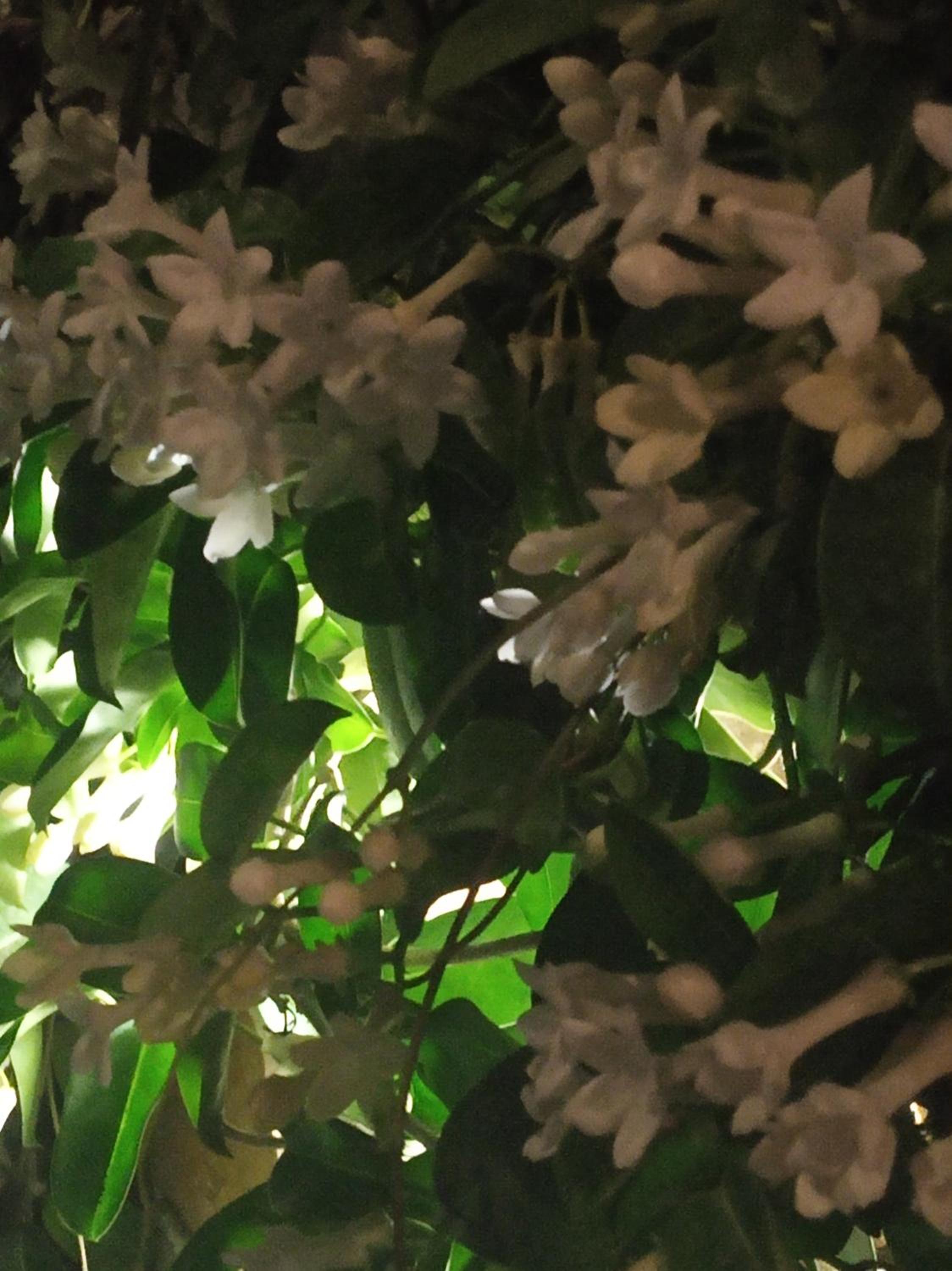 Photo 57