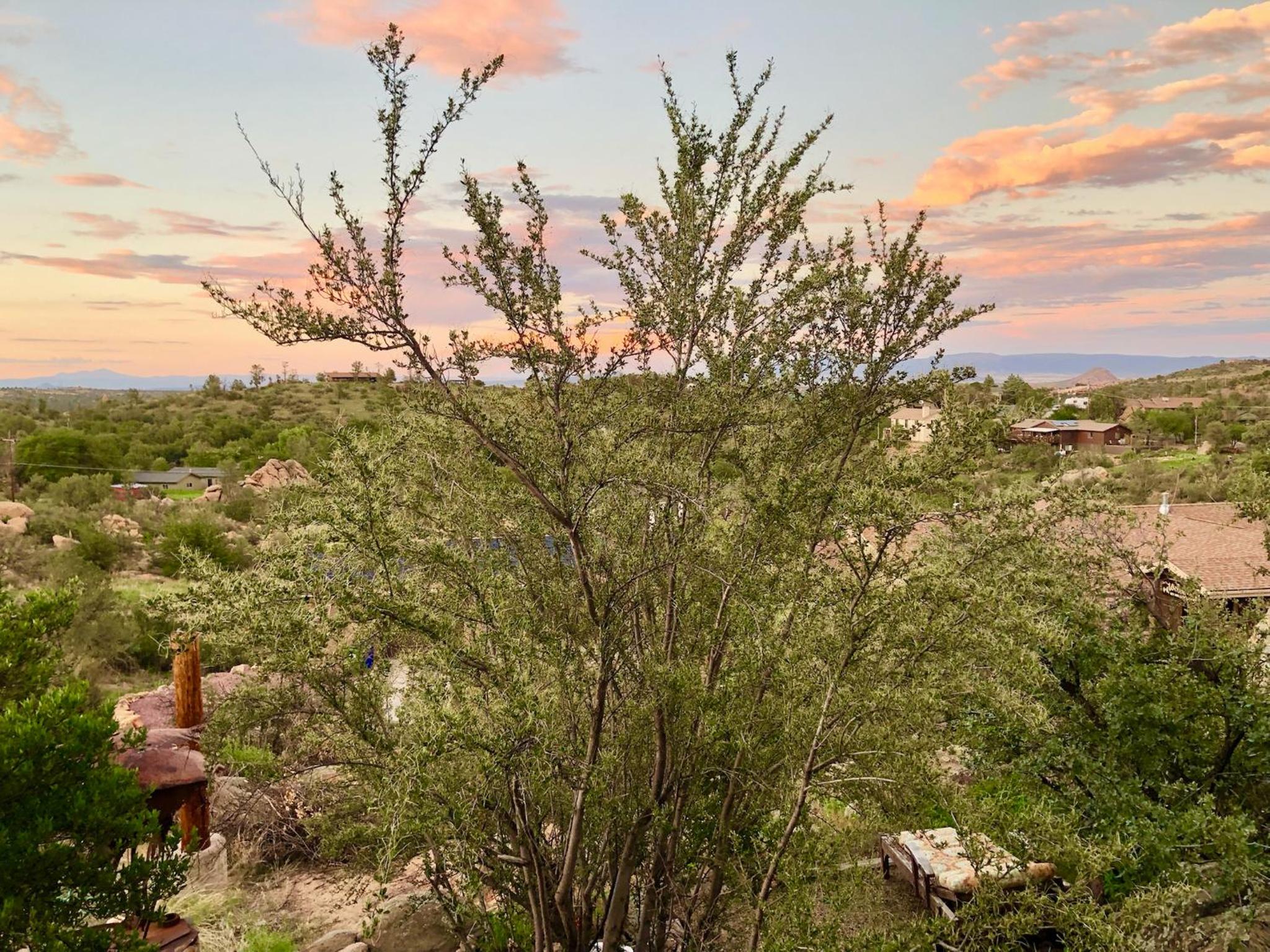 Prescott Vacations - NEW Feather Your Nest King bed Casita, Balcony/BBQ, Amazing views great Location! Dog friendly - Property Image 19