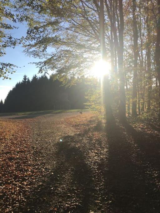 SauerlandBlick Ferienwohnung