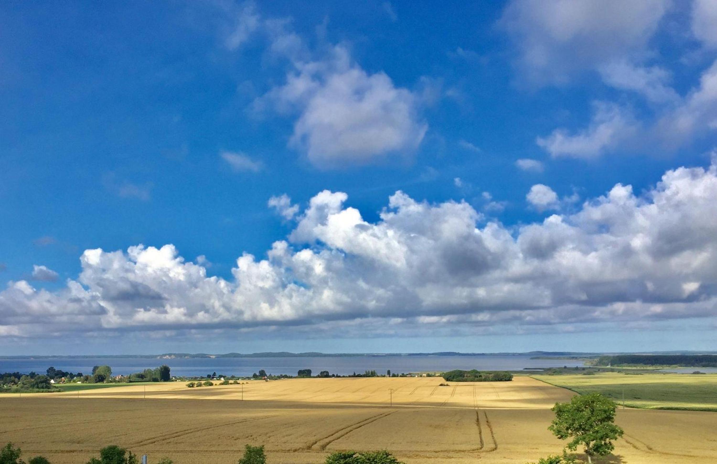 Ein-Steinwurf-zum-Ostseestrand-Ferienwohnung-Martha-mit-Terrasse view 5