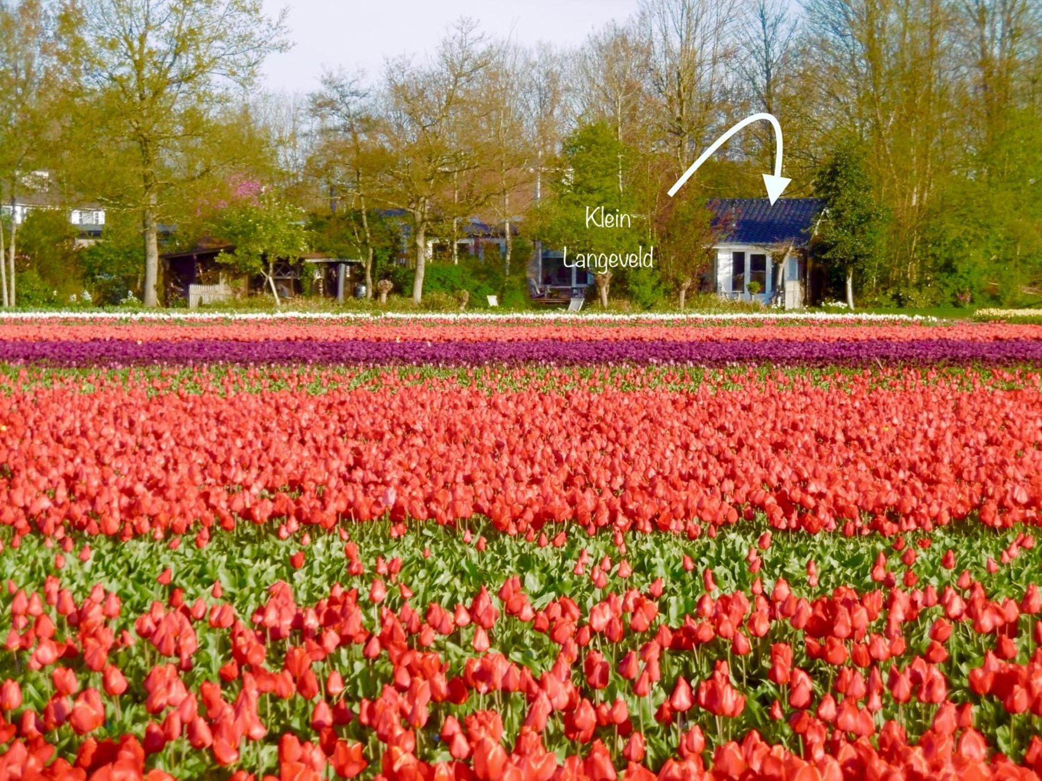 Klein Langeveld