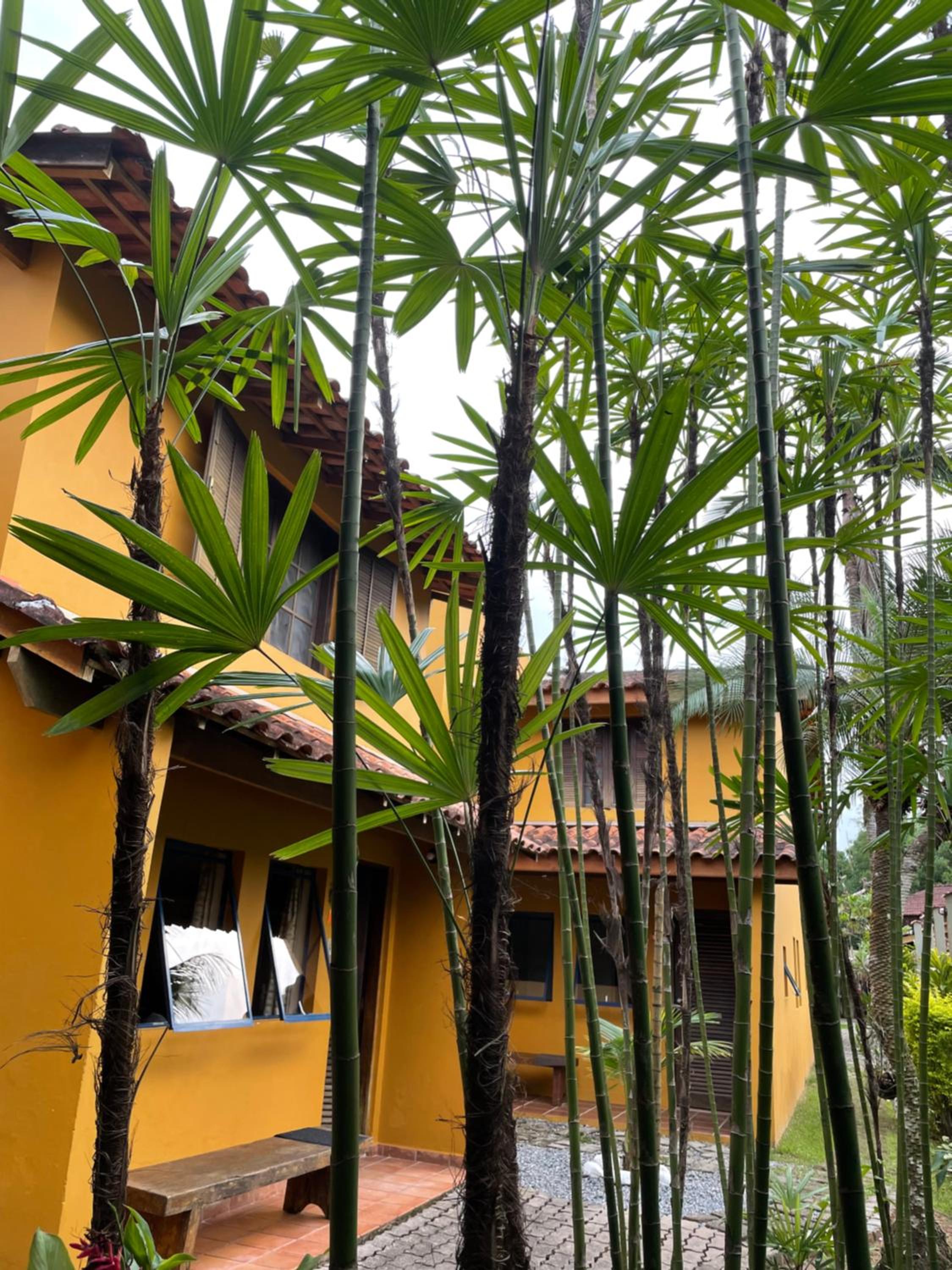 Chalés Água de Coco view 5