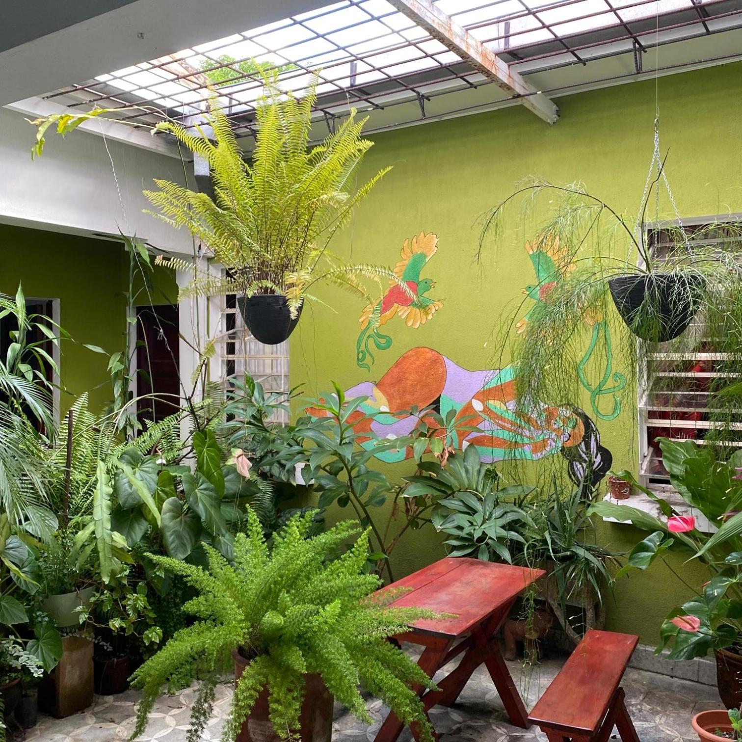 Hostal Cumbres del Volcan Flor Blanca view 4